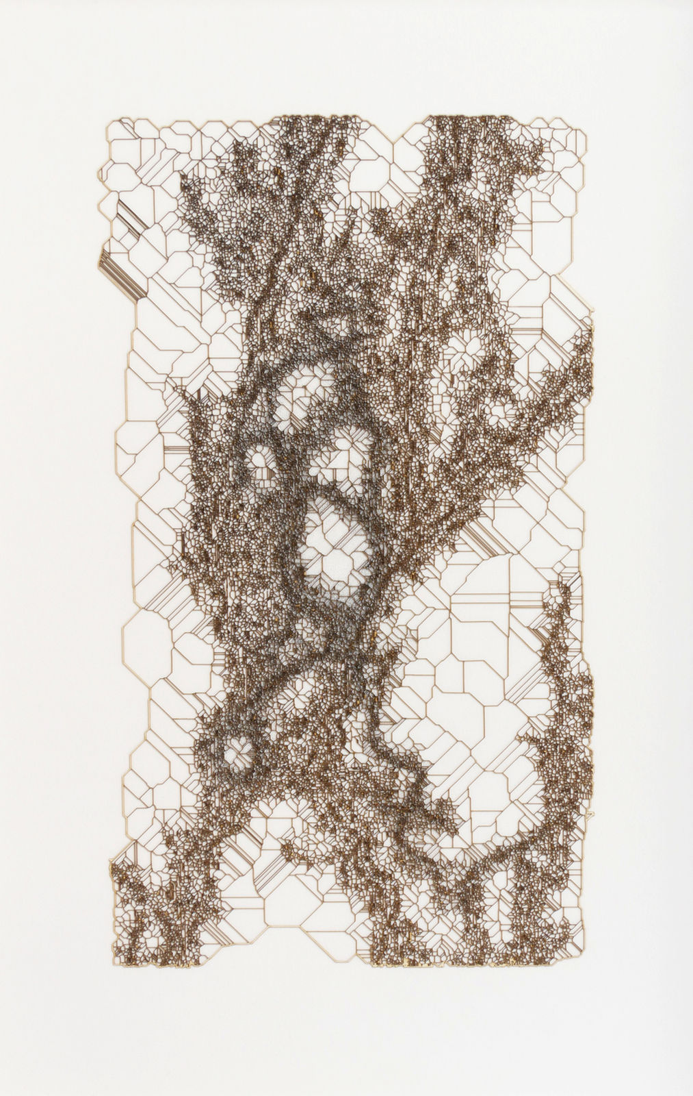 Gustavo Díaz, from the series Variaciones sobre un bosque hipotetico previo a la Gran Bifurcacion. Modelo 006/ Era Prearbolitica, 2018