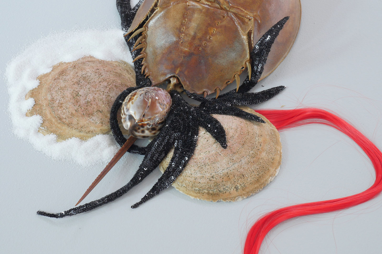 Rina Banerjee, Life after death, freed, in a shell that remains, dismantled and repurposed, diligently loose and now mobile when unearthed evokes new skin where once like hermit and Houdini combined living is entangled now awake slip out to free, see, feel speak., 2024