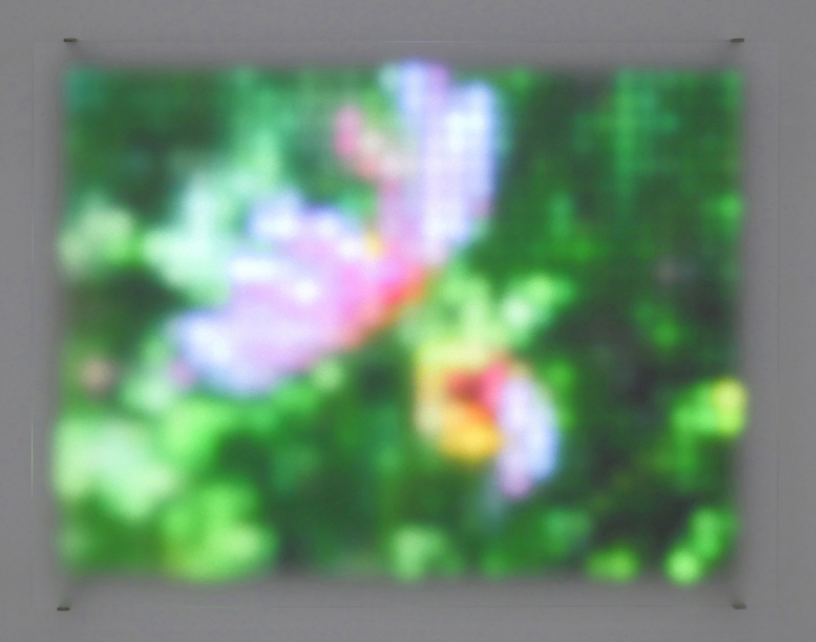 Jim Campbell, Motion Color Study #2, 2024