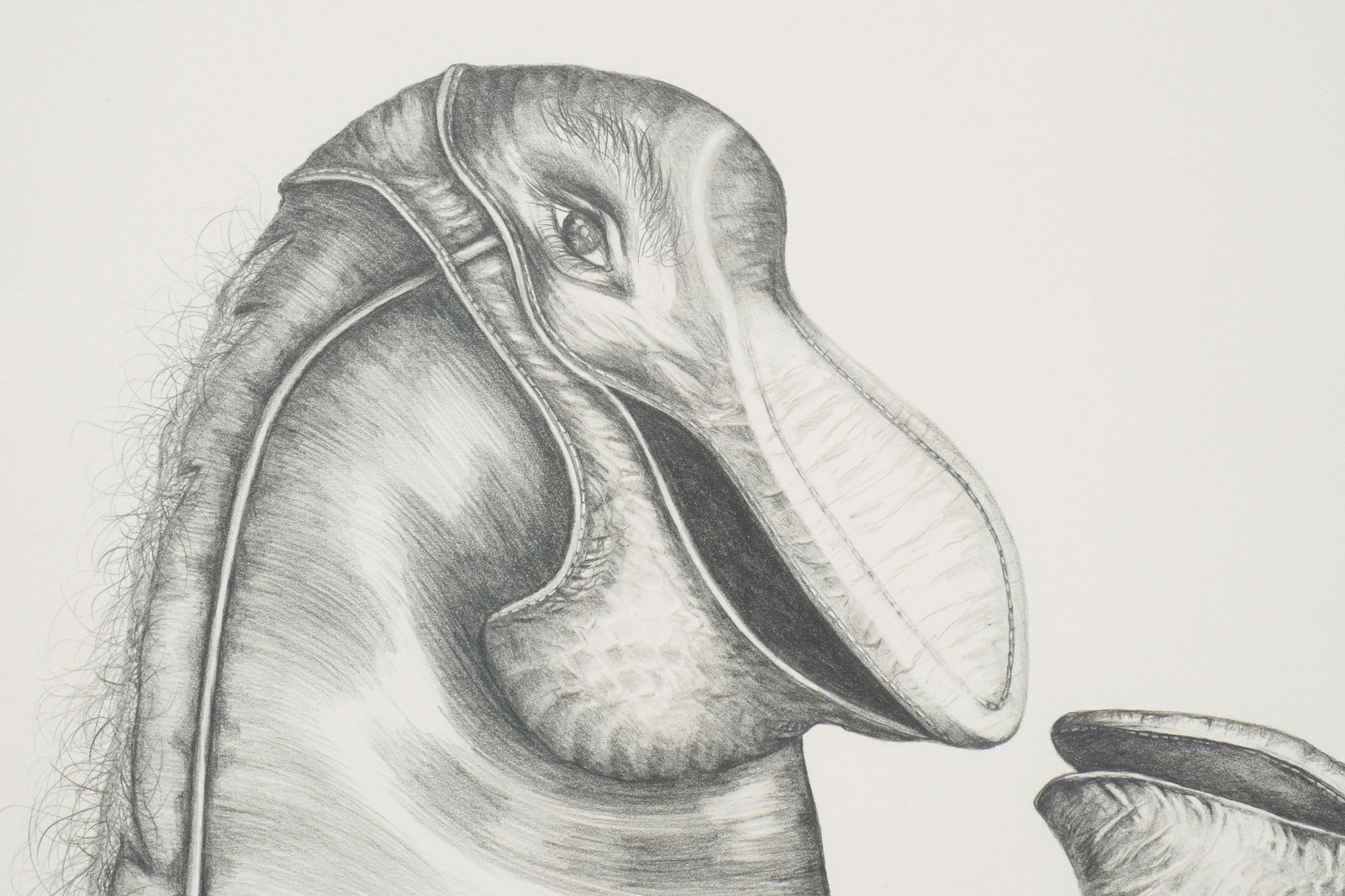 Patricia Piccinini, The Moment When They Agree, 2023