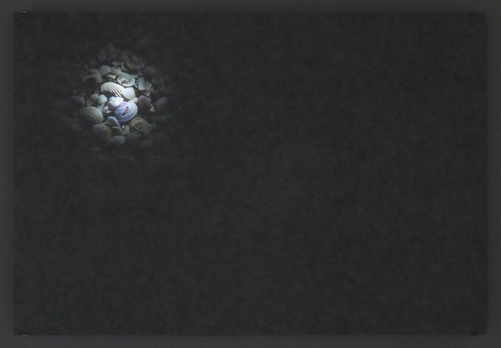 An image of the piece with a small burst of light showing sea shells.