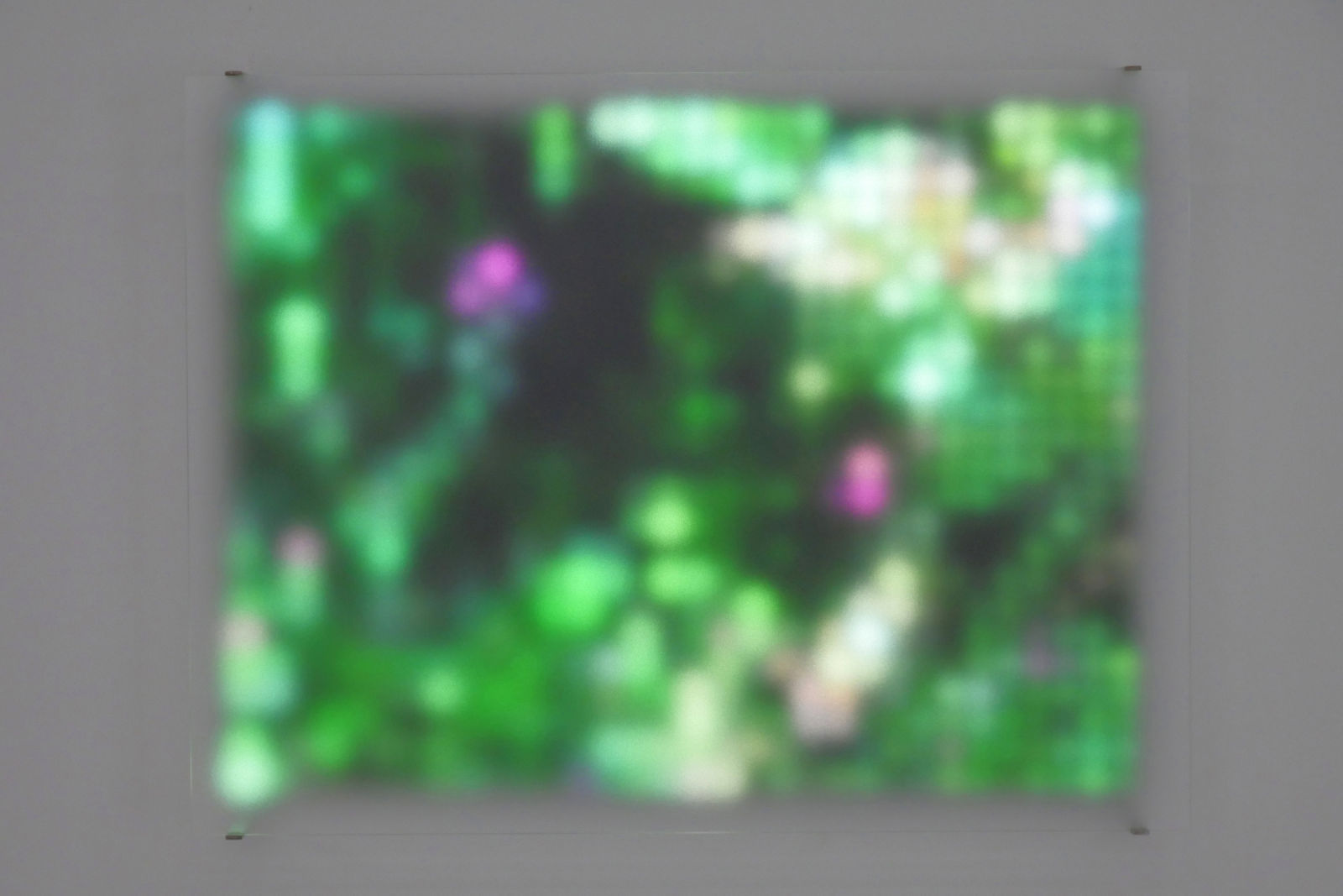 Jim Campbell, Motion Color Study #2, 2024