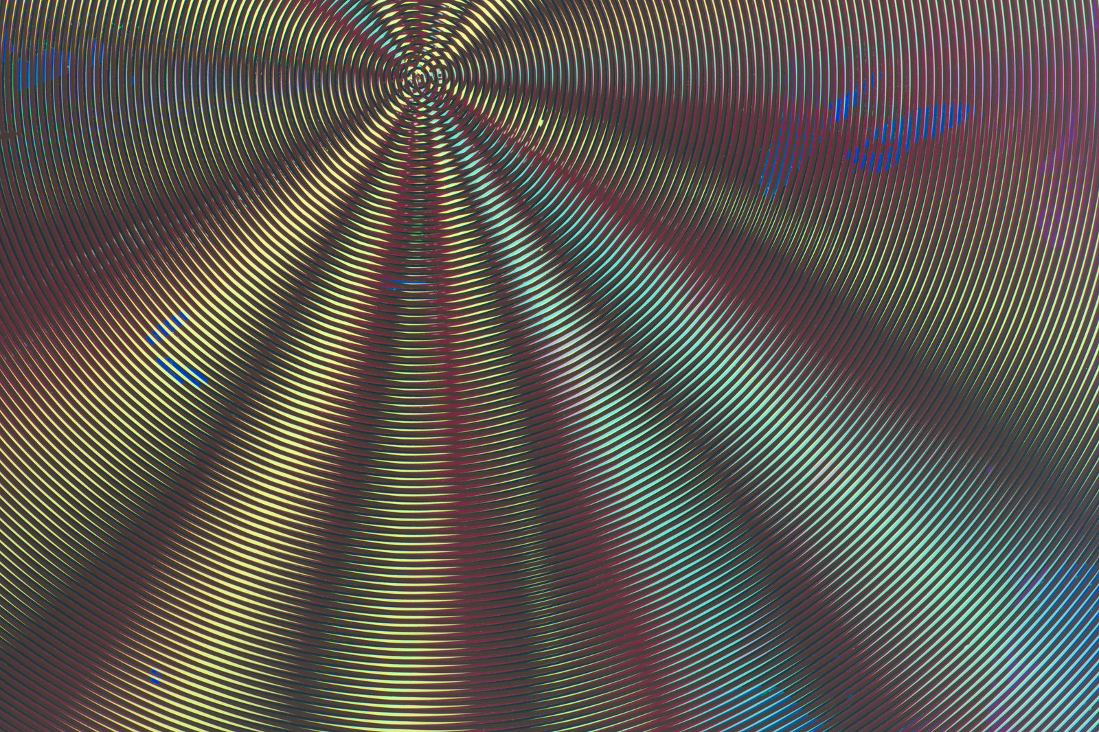 Anoka Faruqee & David Driscoll, 2024P-05, 2024