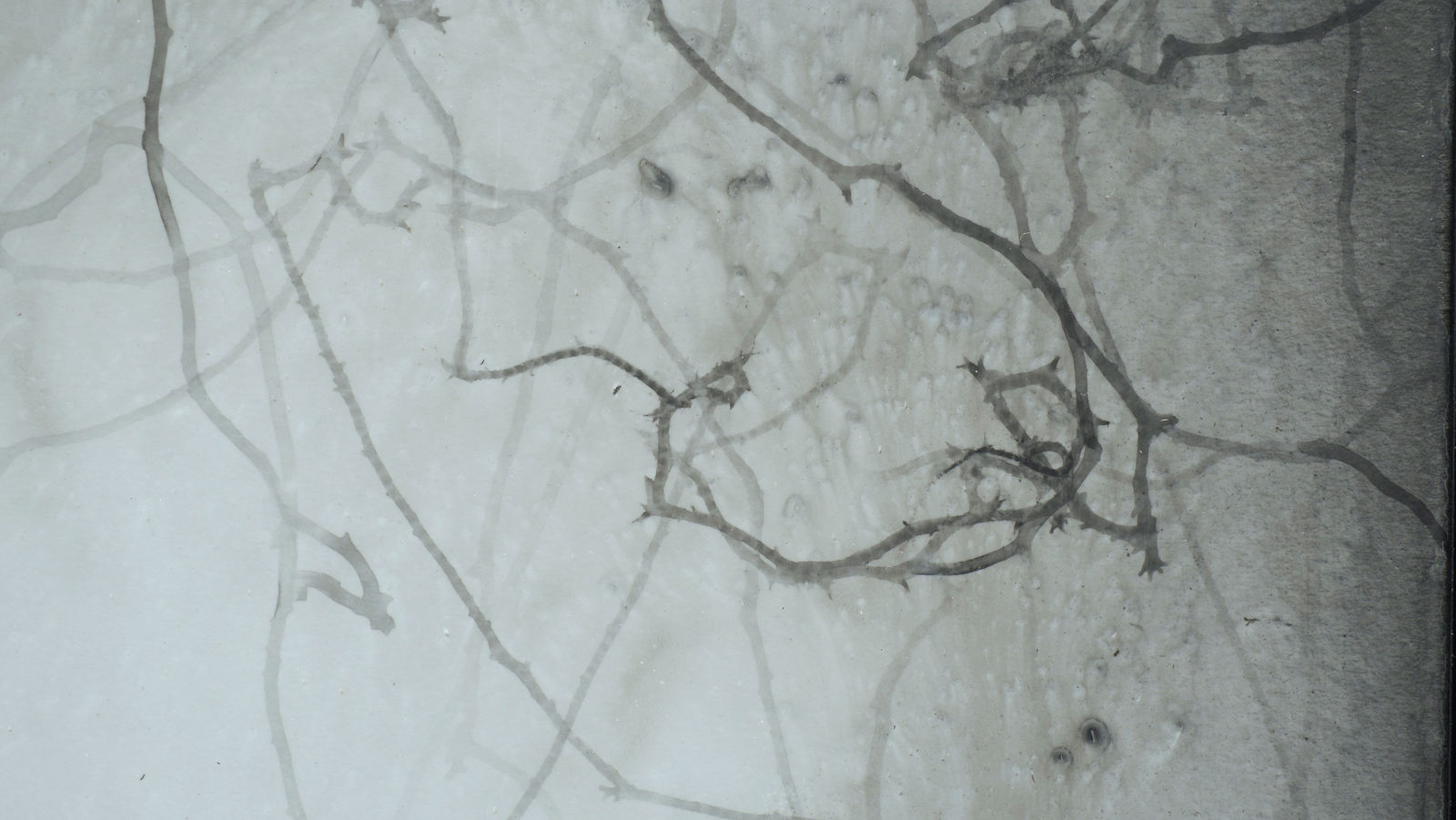 Emil Lukas, locked endurance #2265, 2024