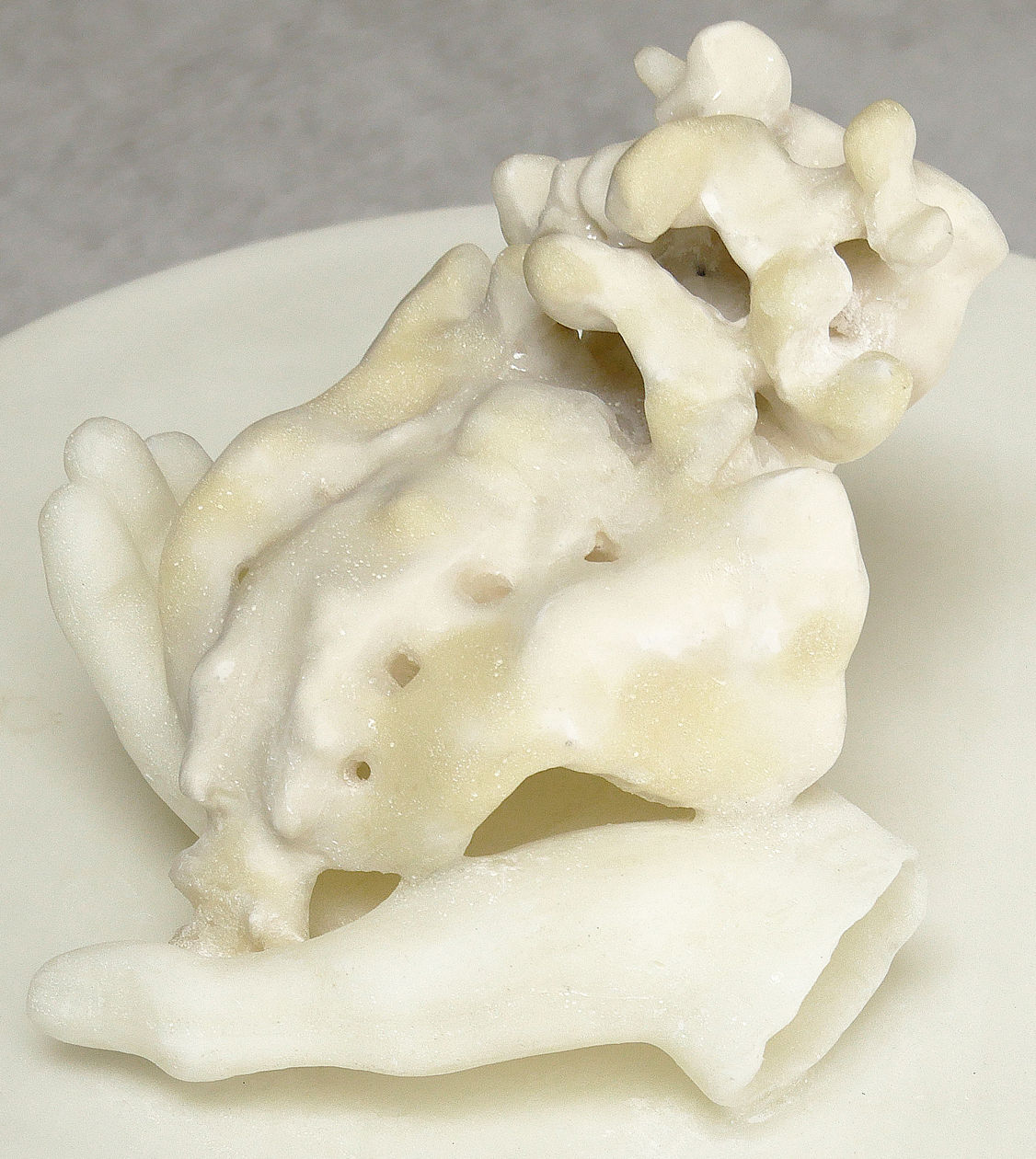 Janine Antoni, to return, 2015