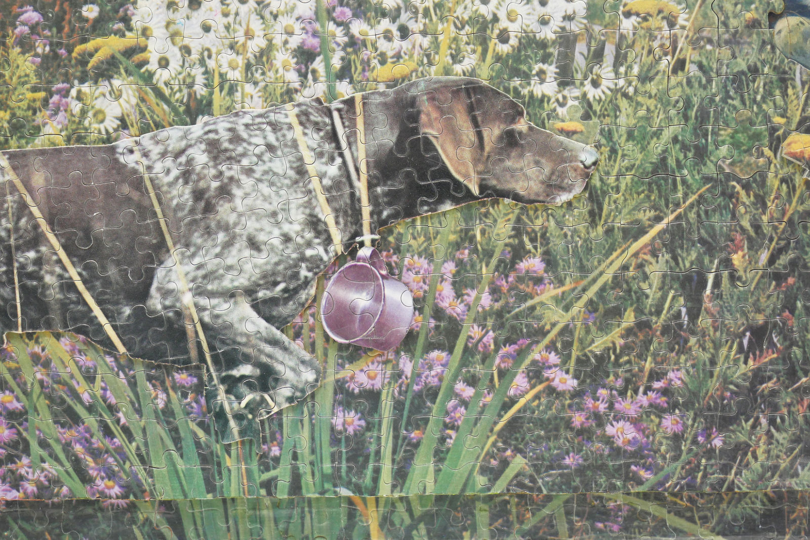 Jess (Collins), Game's Up, 1981