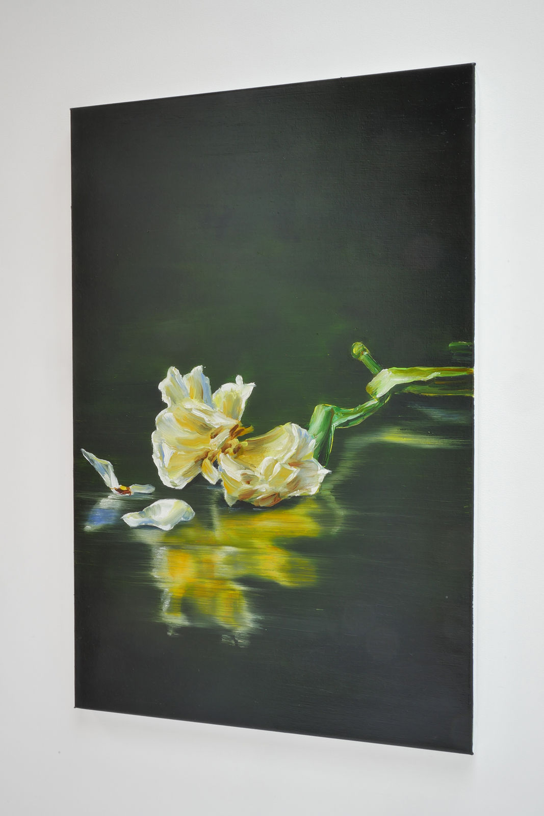 Cornelius Völker, Blüte (Bloom), 2025