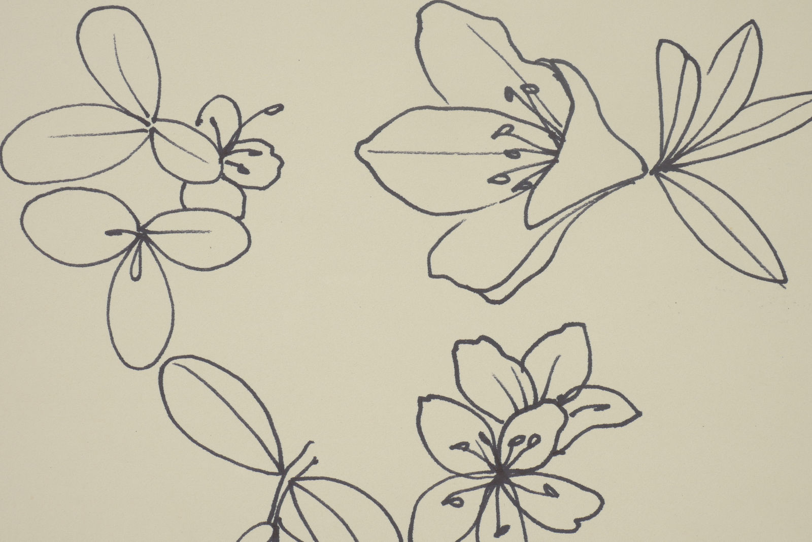 Ruth Asawa, Untitled (PF.1158, Cherry Blossoms), c. 1976