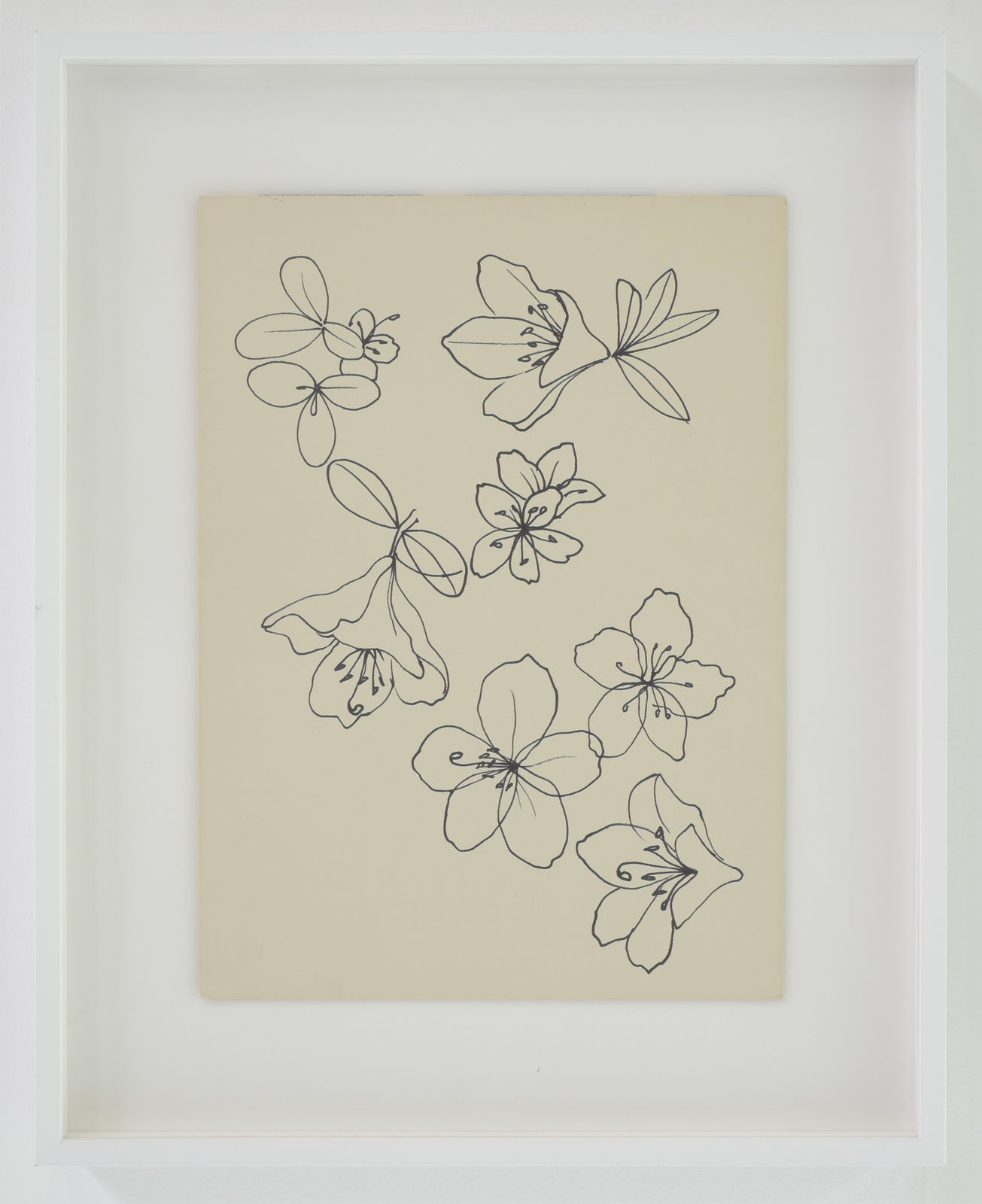 Ruth Asawa, Untitled (PF.1158, Cherry Blossoms), c. 1976