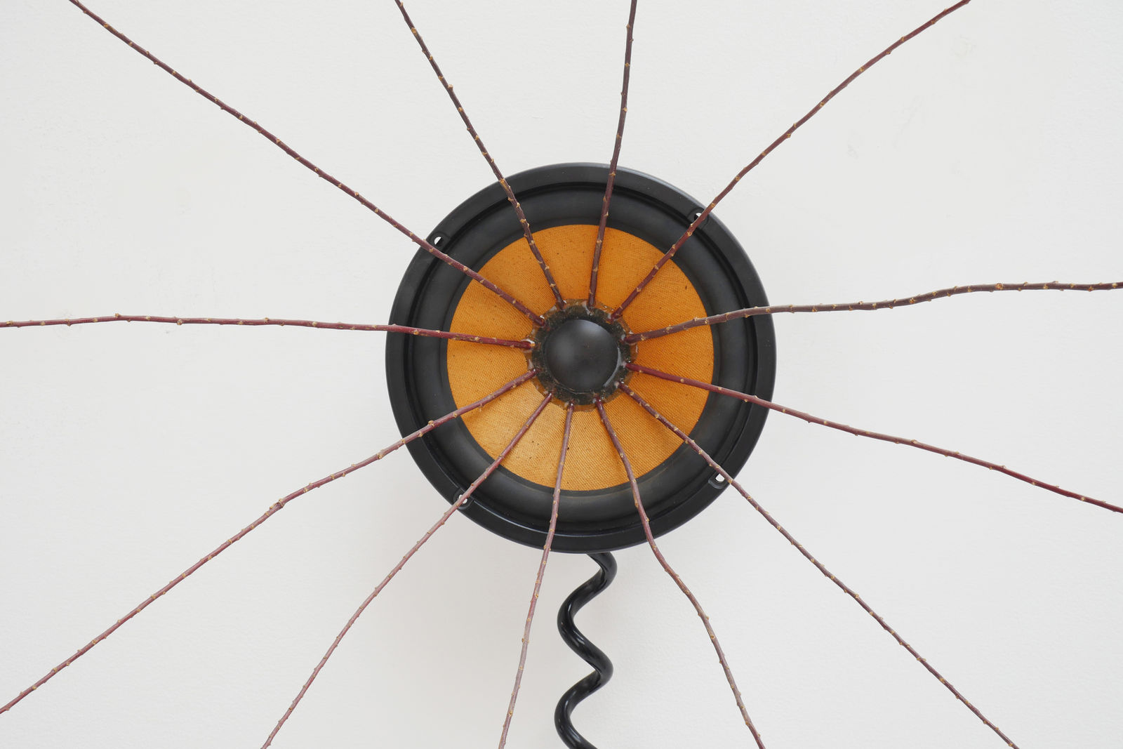 Alan Rath, Spiny Throbber, 2002