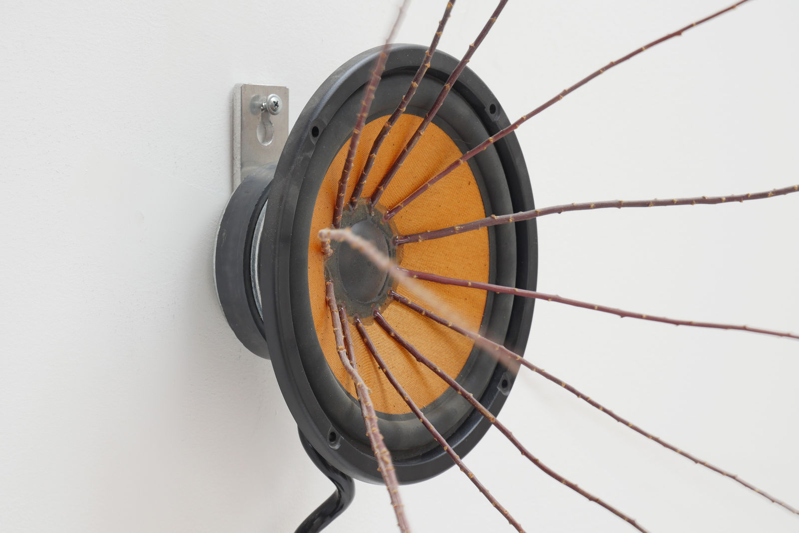 Alan Rath, Spiny Throbber, 2002