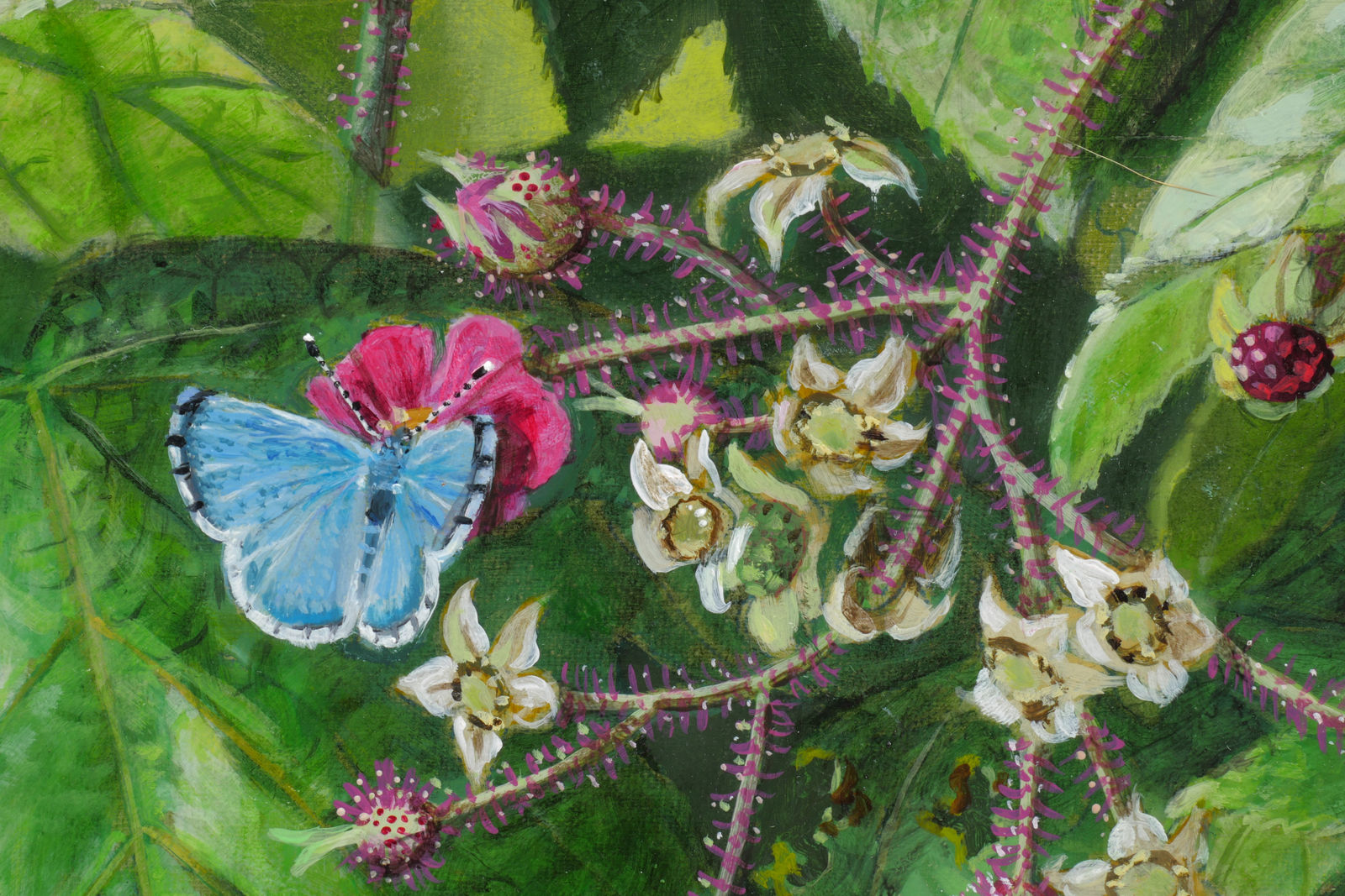 Isabella Kirkland, Nantahala, 2023