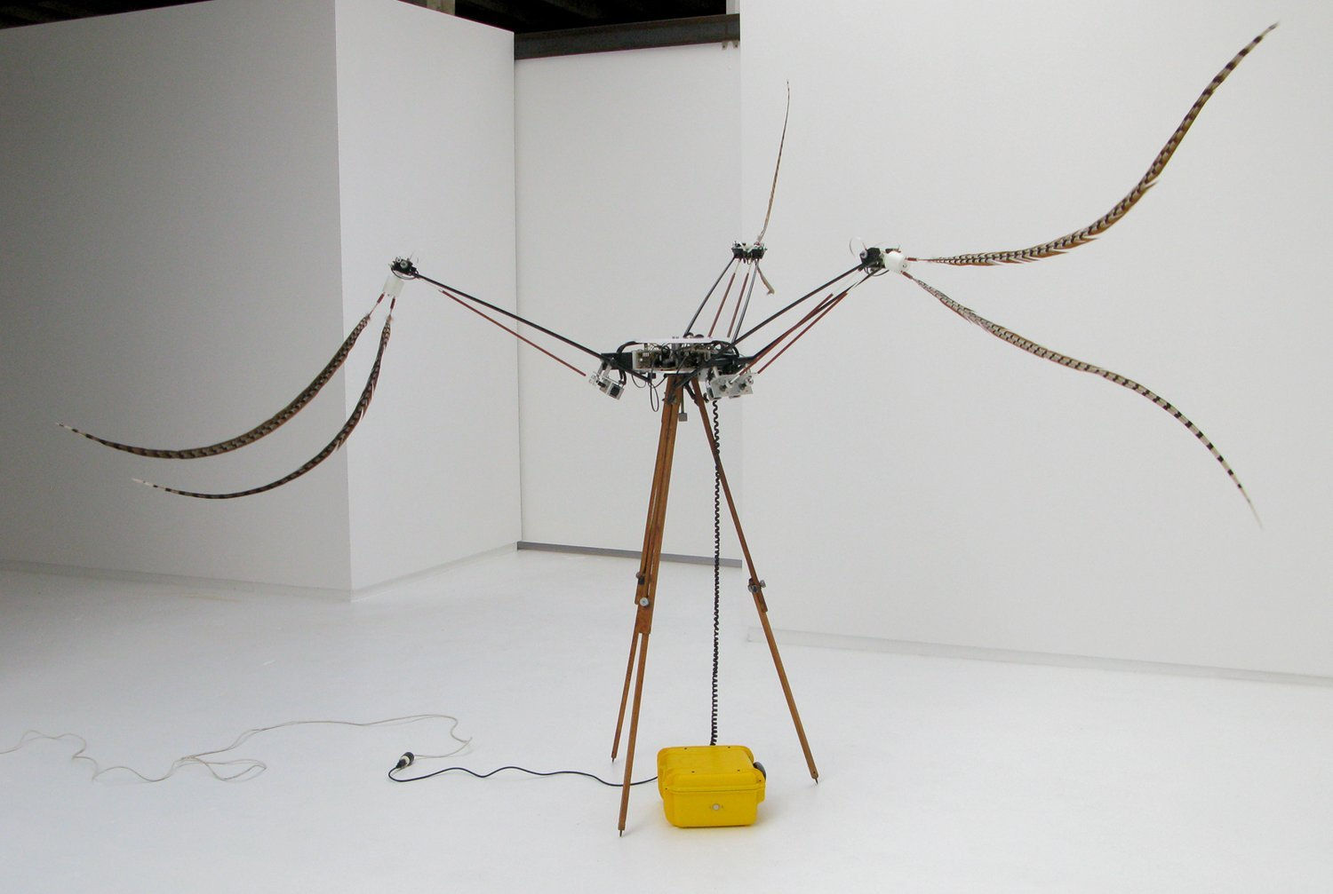 Still image of a large moving mechanical sculpture installation. The installation is placed in an open white walled gallery space and consists of several wooden legs mechanical arms wires pheasant feathers and custom electronics. The feathers are shown to be in various stages of motion