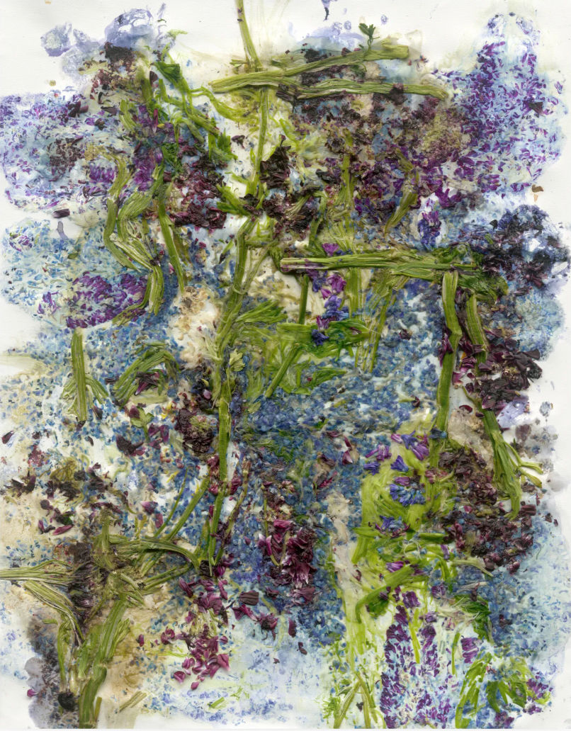 Adam Fuss Theia flowers purple blue green