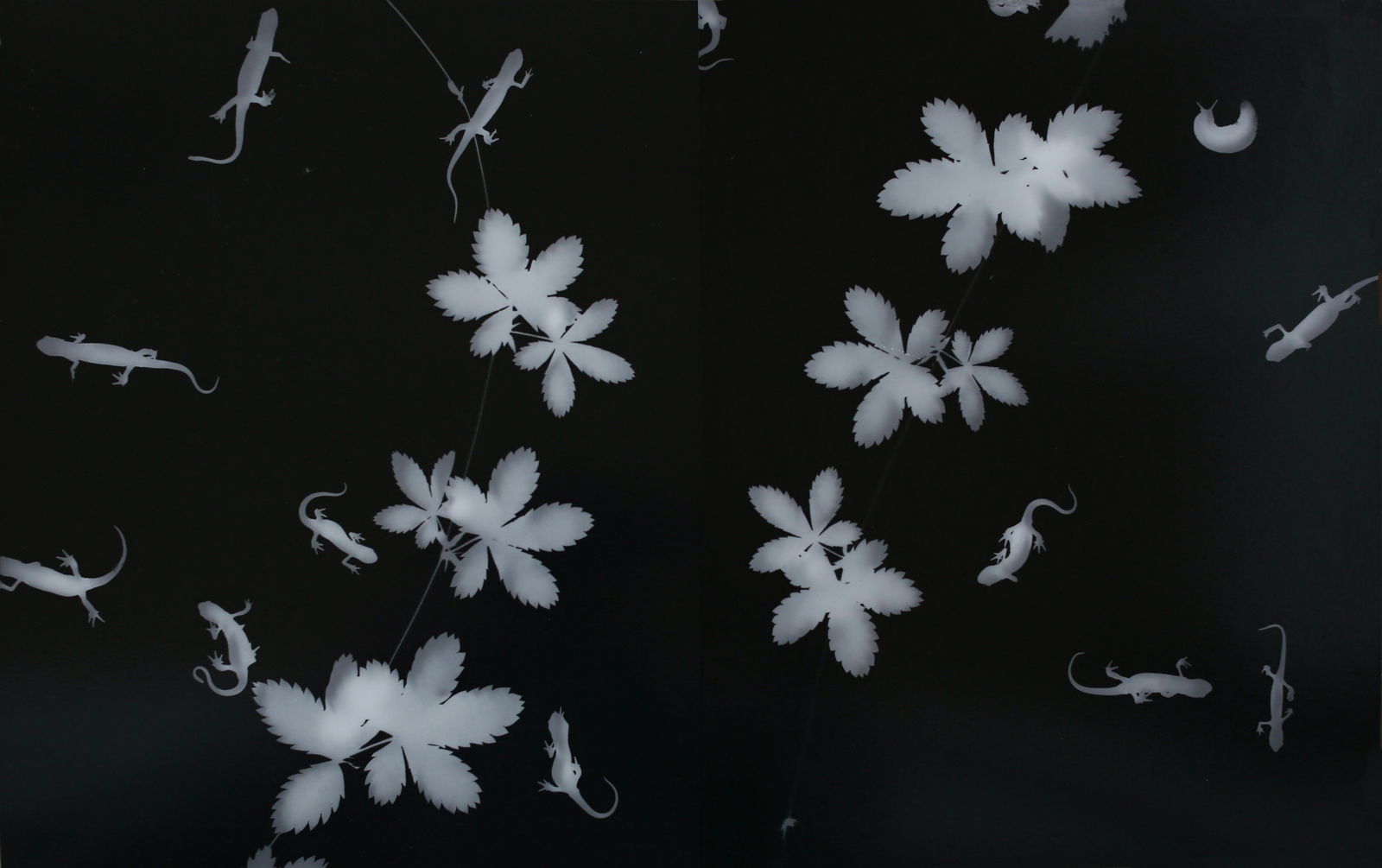 Zana Briski, Eastern newts and slug #1, diptych, New York