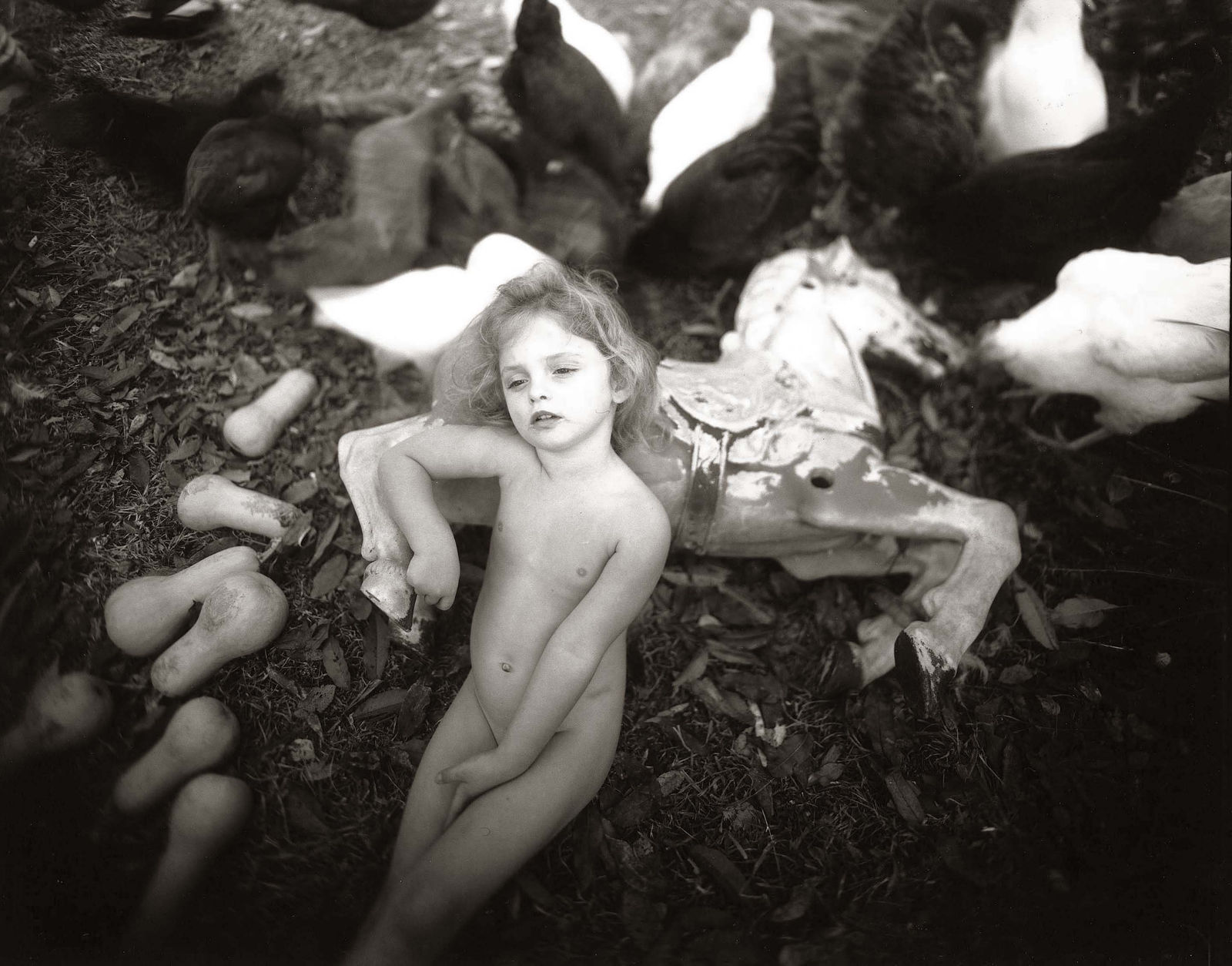 Sally Mann, Winter Squash, 1988