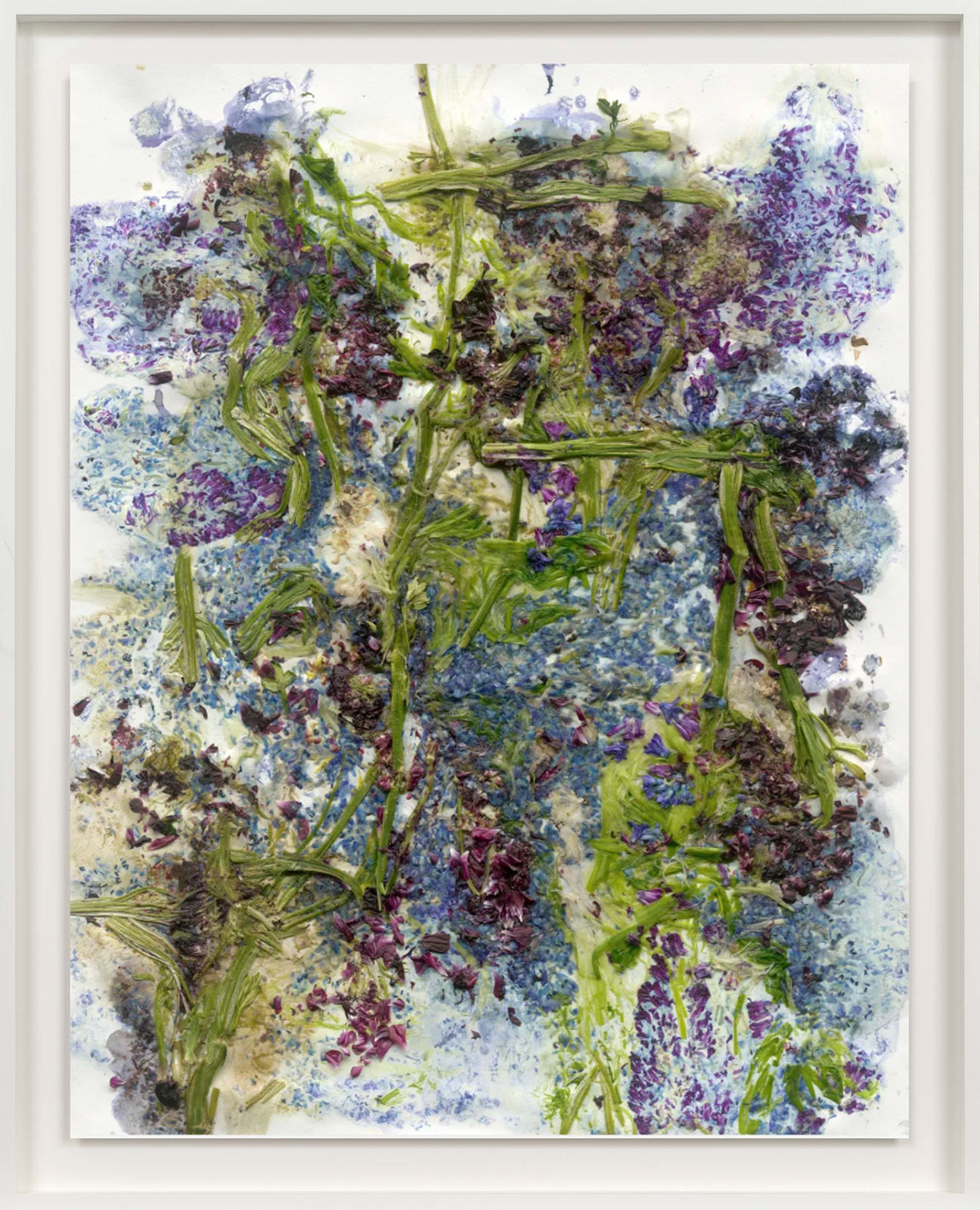 Adam Fuss Theia flowers purple blue green