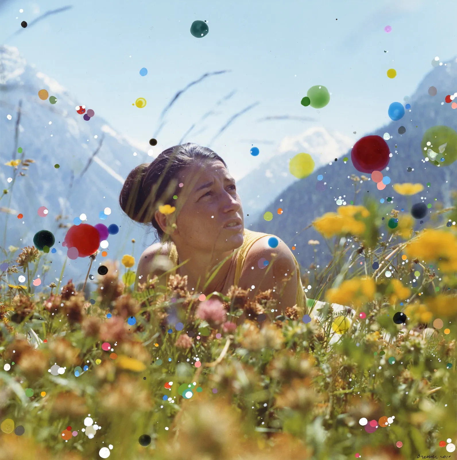 Sebastiaan Bremer, Schoener Goetterfunken XI, ‘Whoever has had the great fortune’ (Wem der grosse Wurf gelungen), 2010