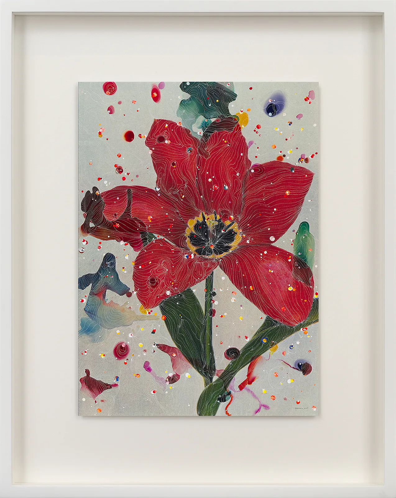 Sebastiaan Bremer, Tulipa Posteriana Madame Lefeber (Red Emperor), 2023