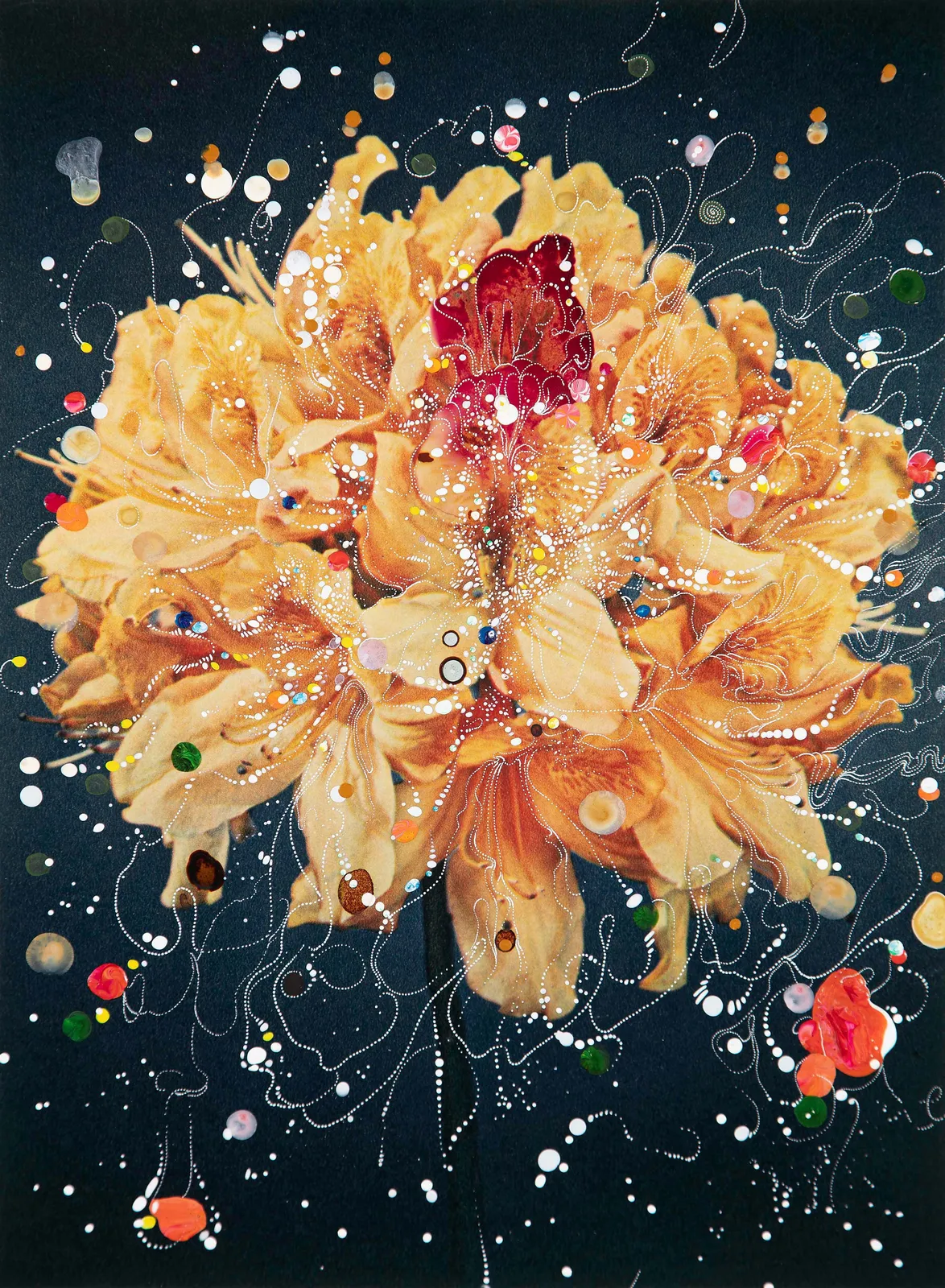 Sebastiaan Bremer Azelia Mollis x Sinenses Christoffel Wren salmon colored flower with painted dots