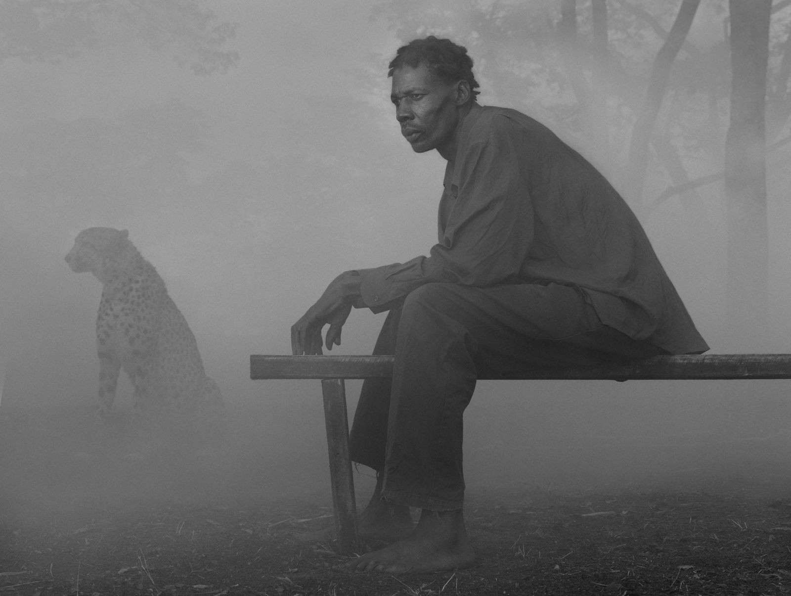 Richard sitting on bench with cheetah named Diesel behind him in fog, Zimbabwe, from the Day May Break series by Nick Brandt