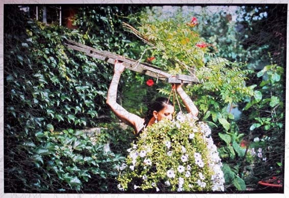 Sissi Farassat, Stitch 11, 2010