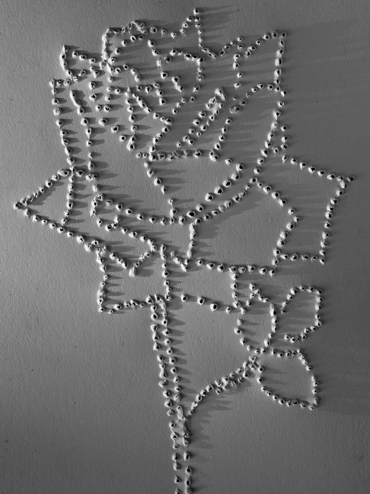 Abelardo Morell Flowers for Lisa #61 After Ellsworth Kelly rose outline made with pinholes in paper following work by Ellsworth Kelly