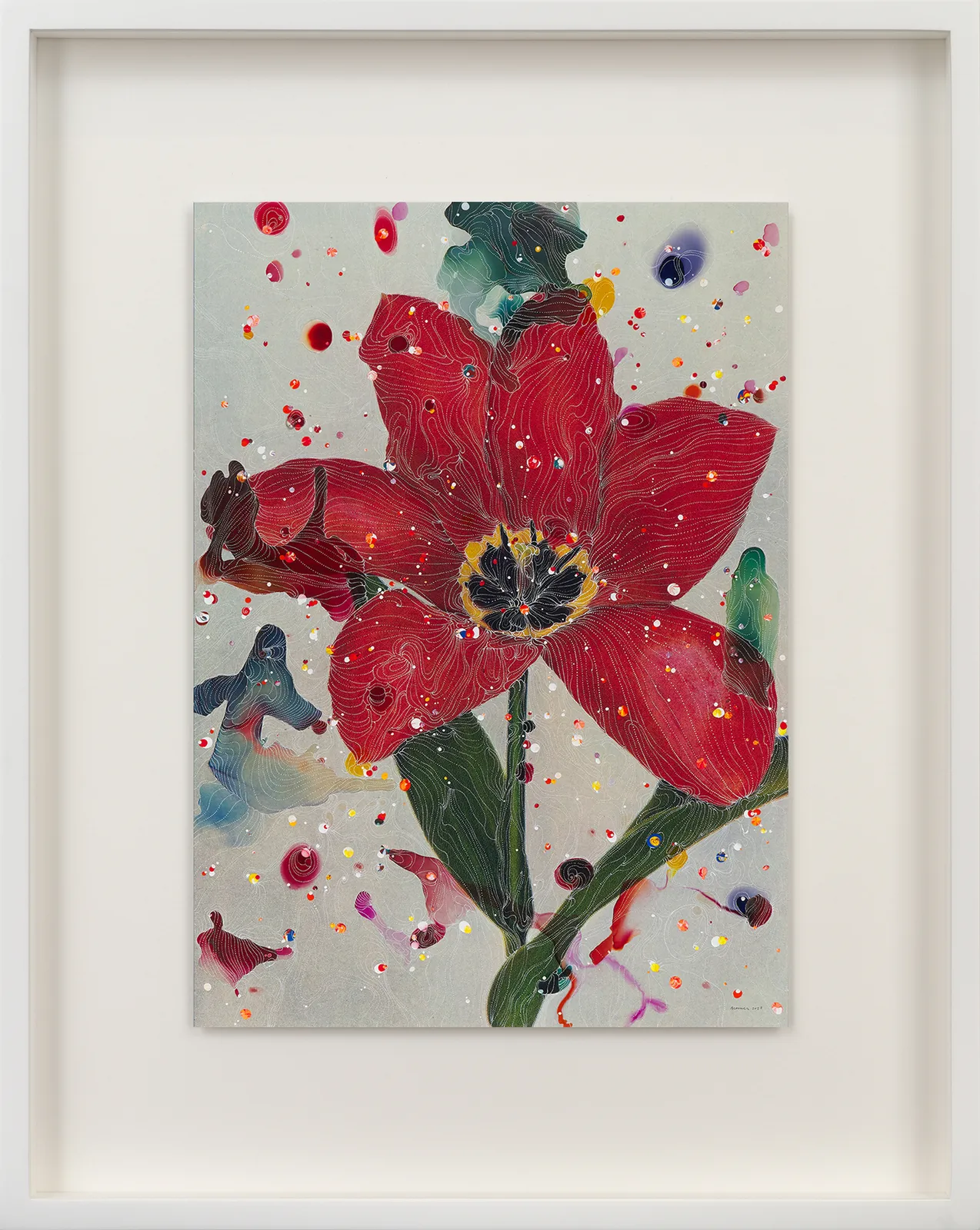 Sebastiaan Bremer, Tulipa Posteriana Madame Lefeber (Red Emperor), 2023