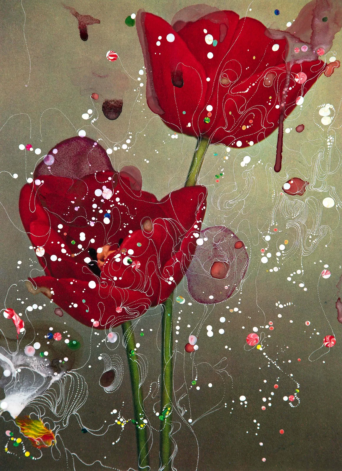 Sebastiaan Bremer Darwin Tulip Charles Needham two red tulip flowers with colorful painted dots