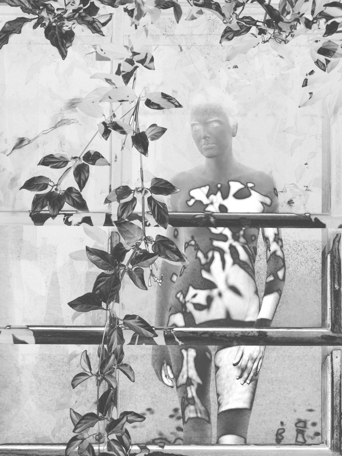 Mona Kuhn, Interleaving, 2022