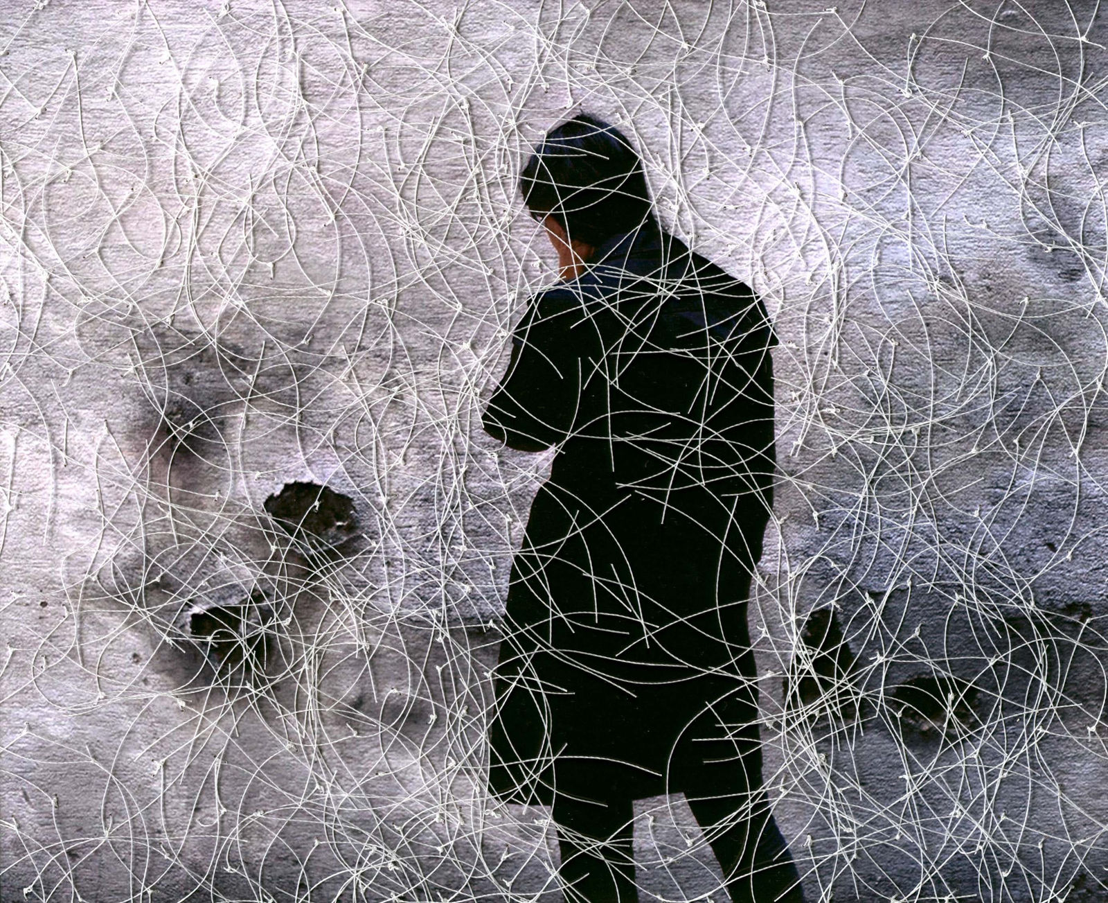 Sissi Farassat, The Wall, 2011