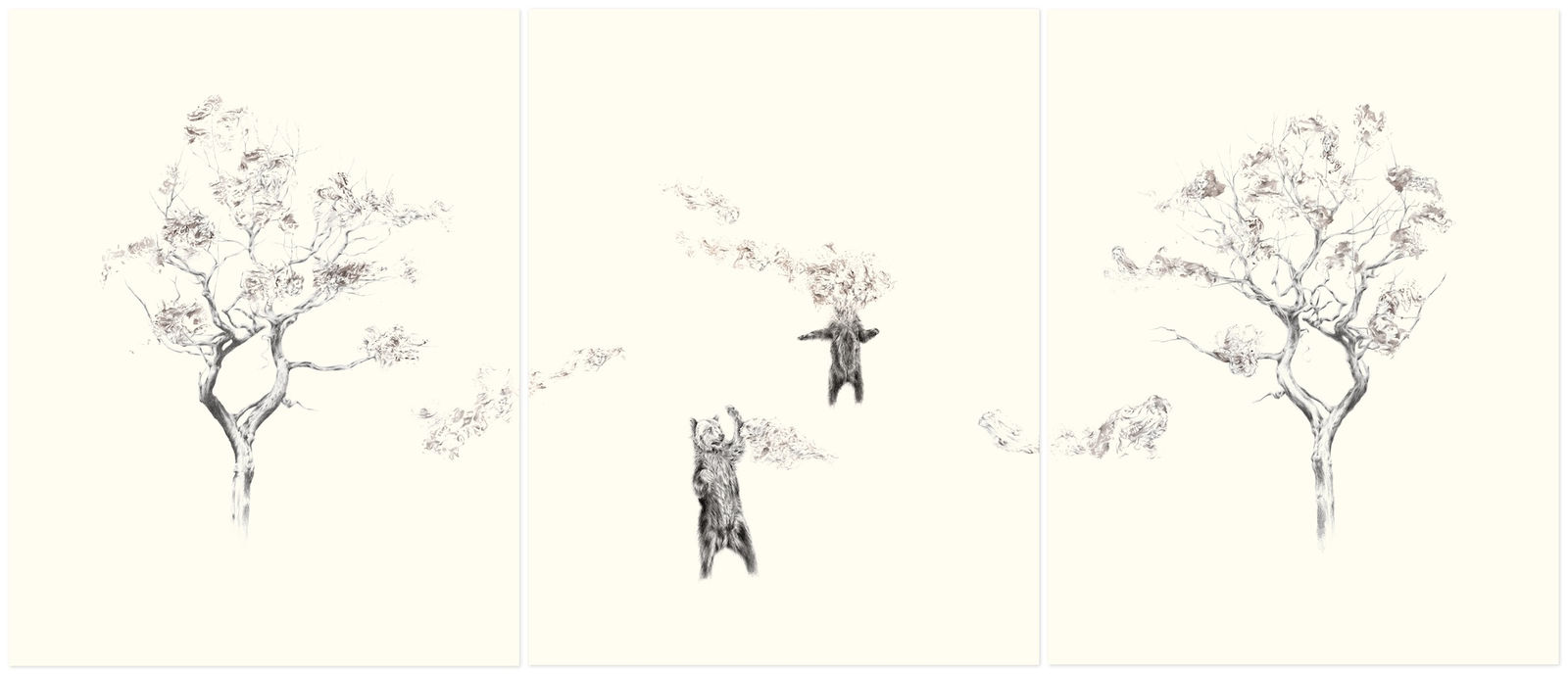 Rachel Goodyear, Blossom, 2012