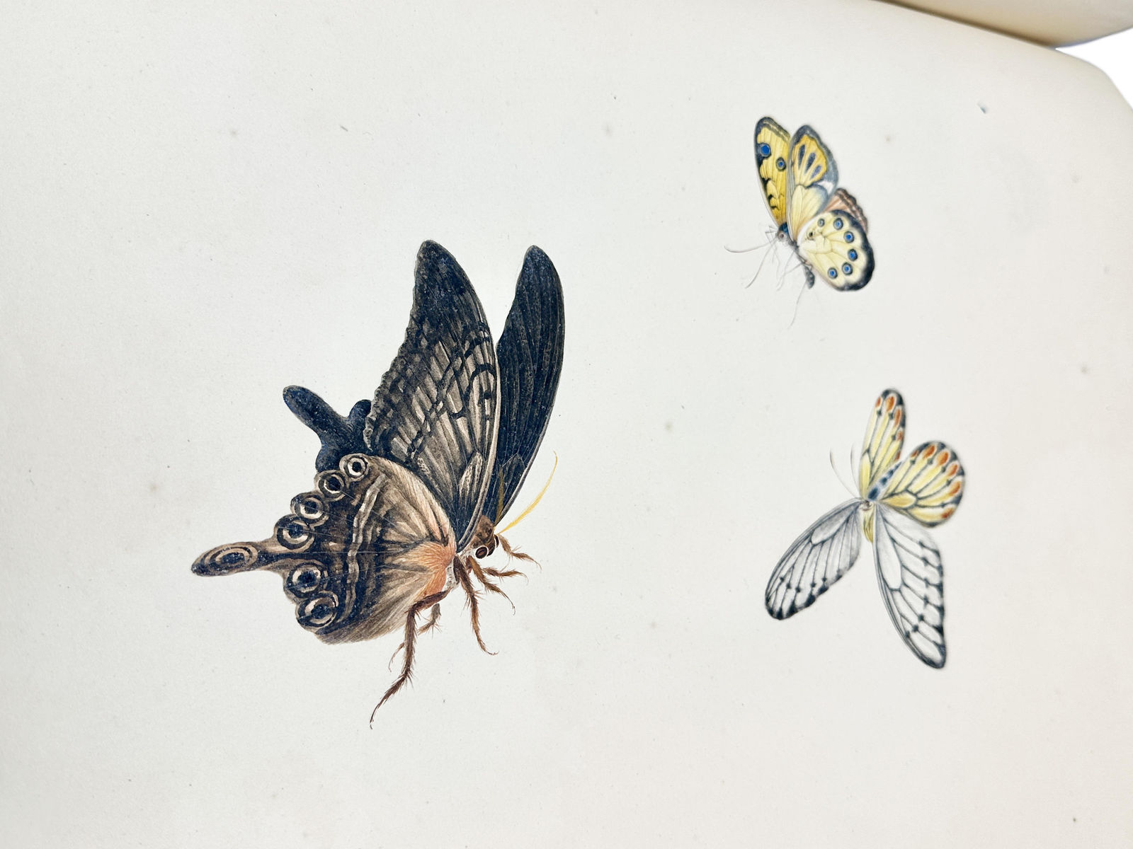 [China], Album of 169 Chinese Watercolors, S.d. [c. 1820-1850].