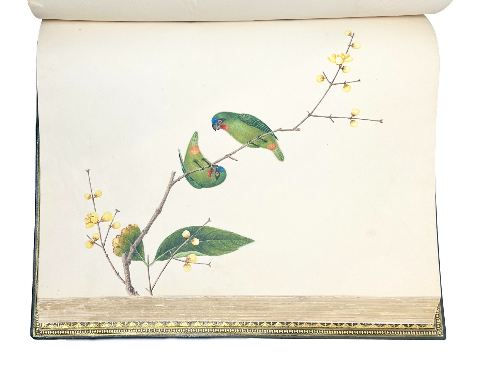 [China], Album of 169 Chinese Watercolors, S.d. [c. 1820-1850].