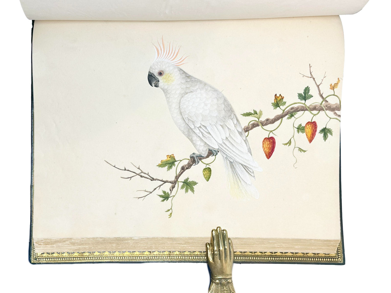 [China], Album of 169 Chinese Watercolors, S.d. [c. 1820-1850].