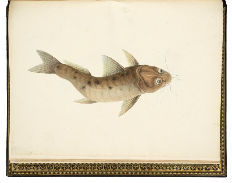 [China], Album of 169 Chinese Watercolors, S.d. [c. 1820-1850].