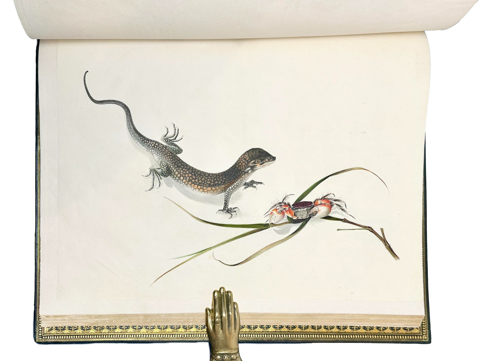 [China], Album of 169 Chinese Watercolors, S.d. [c. 1820-1850].