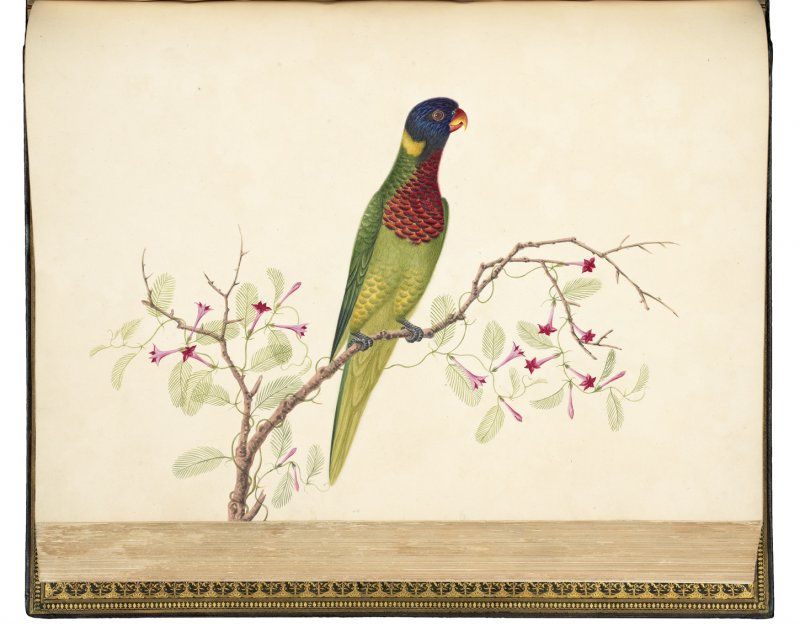 [China], Album of 169 Chinese Watercolors, S.d. [c. 1820-1850].