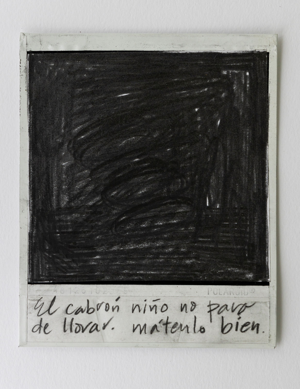 Priscilla Monge, Los malos paisajes (El cabrón niño no para...), 2021