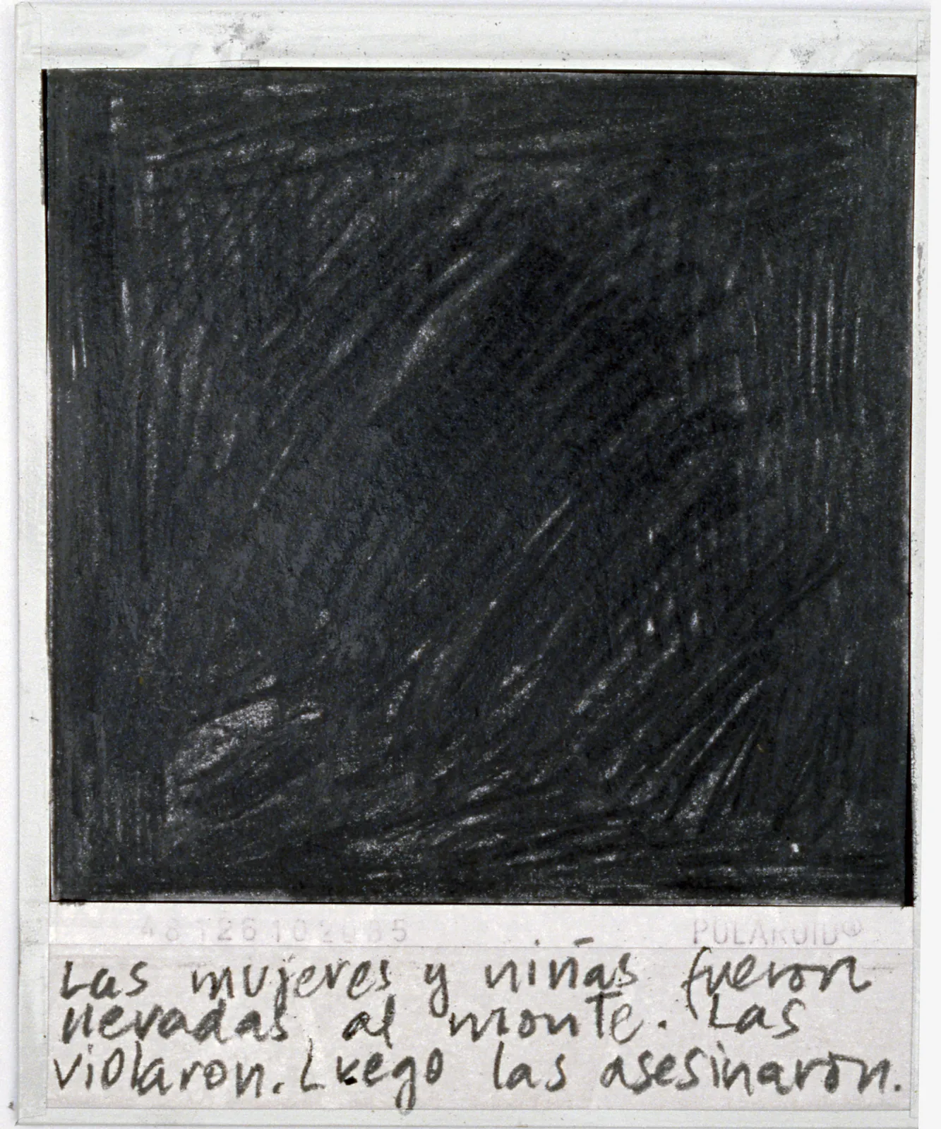 Priscilla Monge, Los malos paisajes (Las mujeres y niñas....), 2021