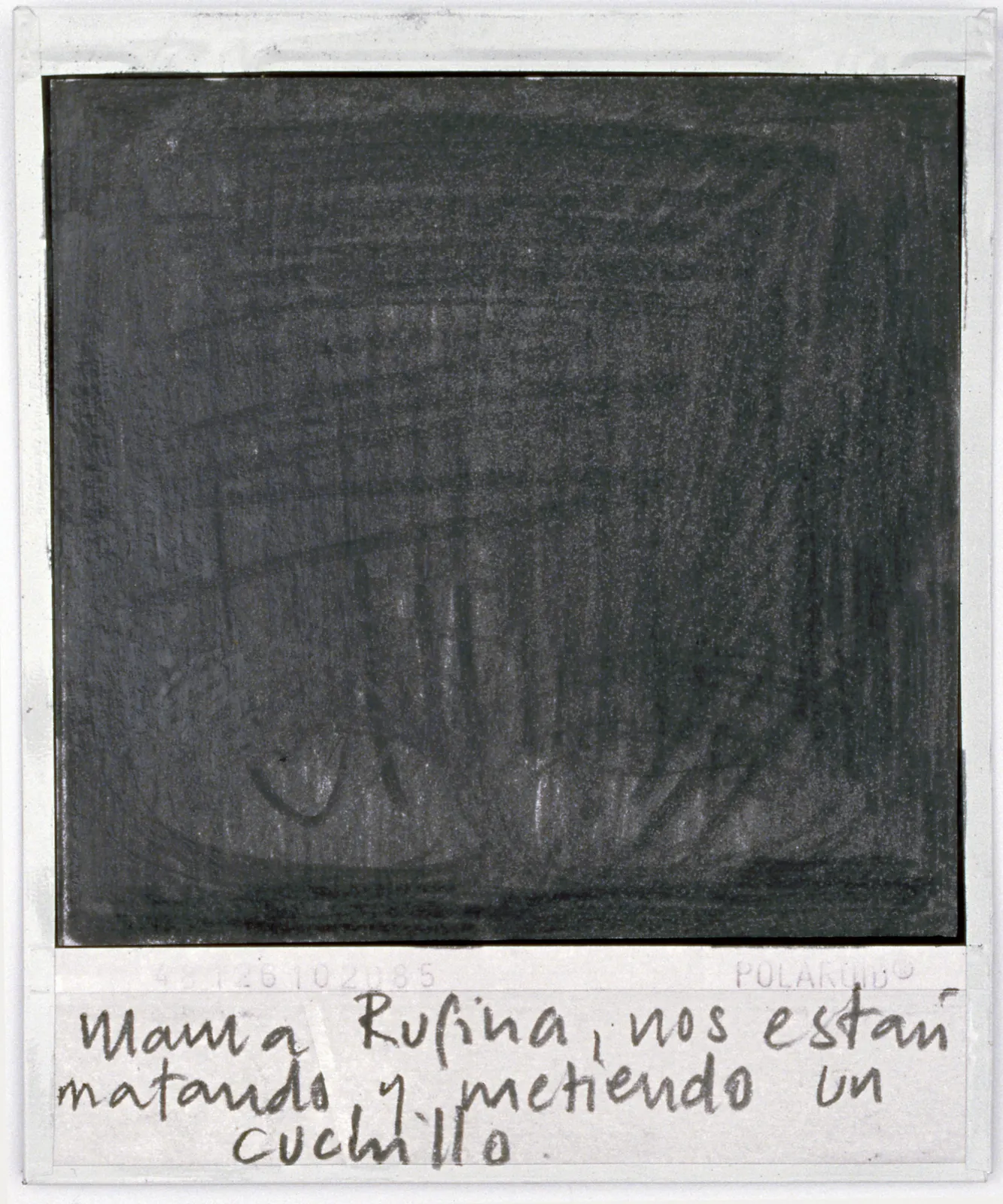 Priscilla Monge, Los malos paisajes (Mama Rufina, nos están.....), 2021