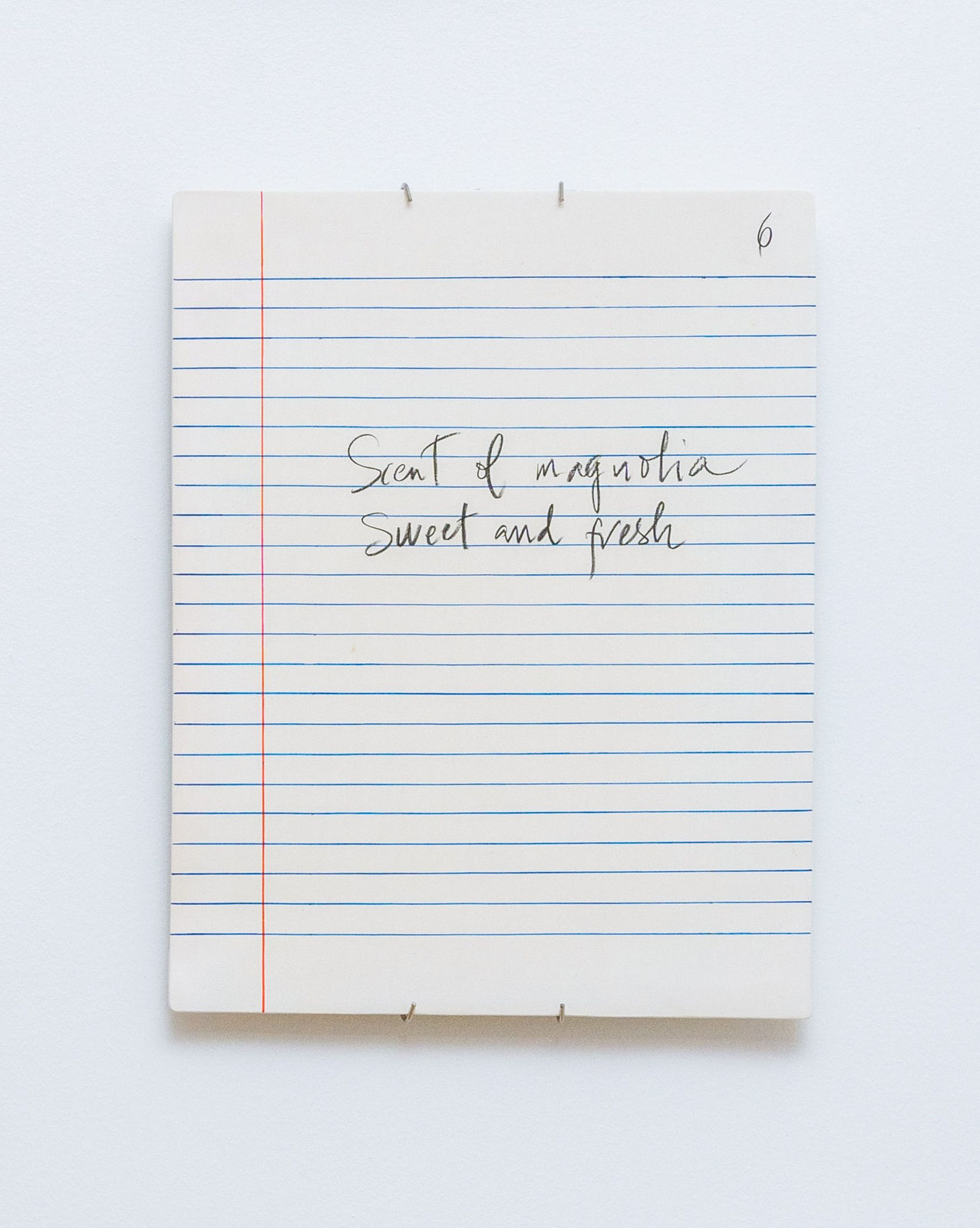 Priscilla Monge, Strange fruit (Scent of magnolia...), 2023