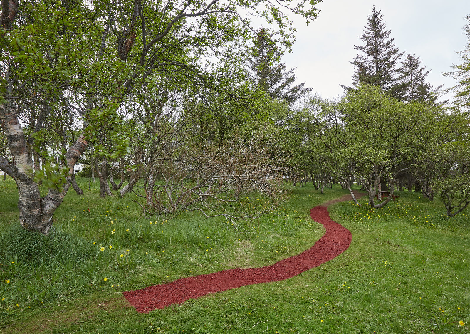 RAGNA RÓBERTSDÓTTIR, Path, 2021