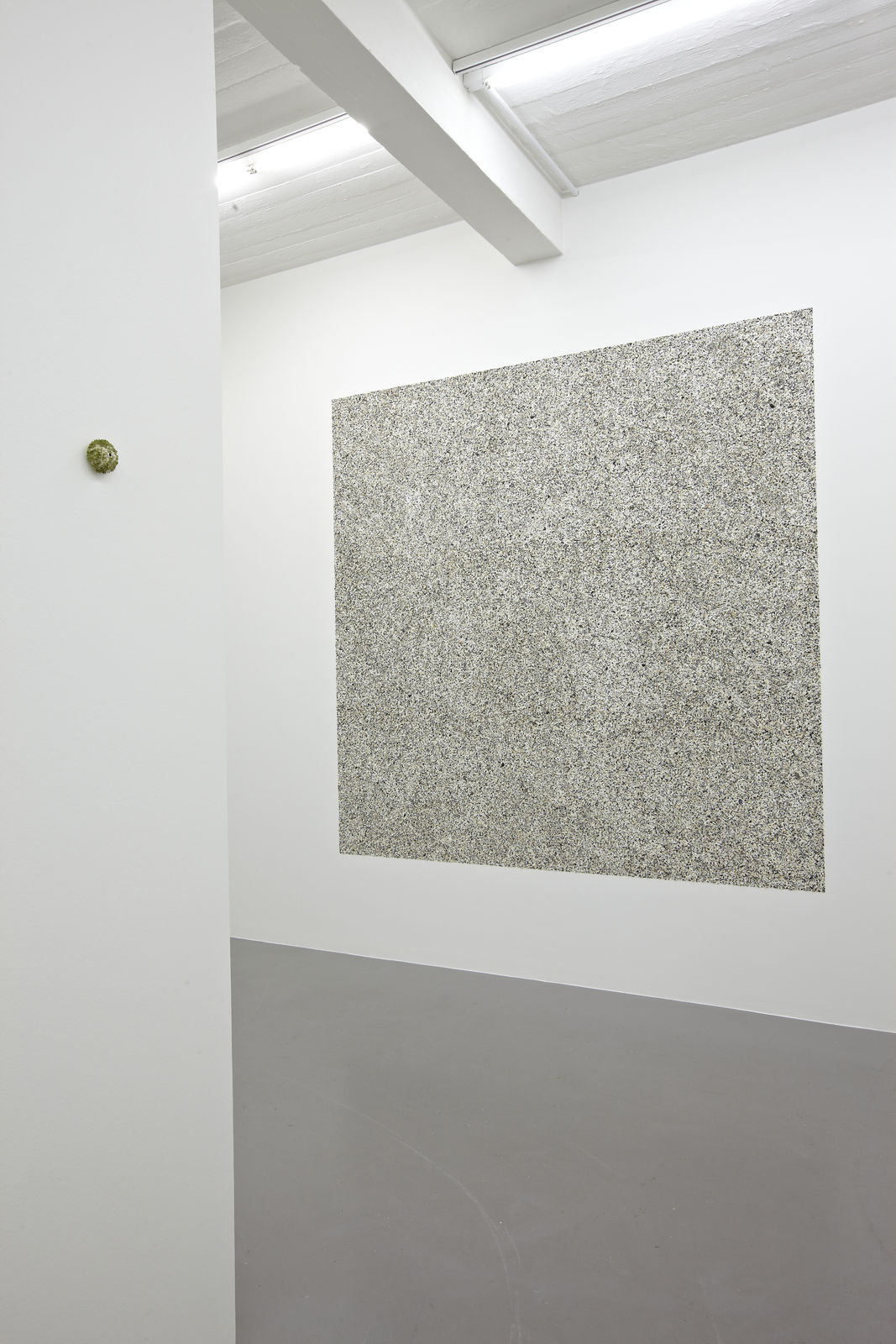 RAGNA RÓBERTSDÓTTIR, Shellscape, 2013