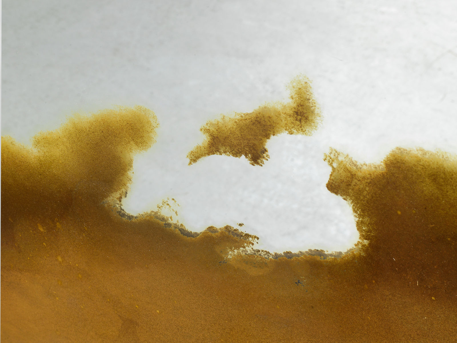 ALICJA KWADE, Trait Transference, 2015