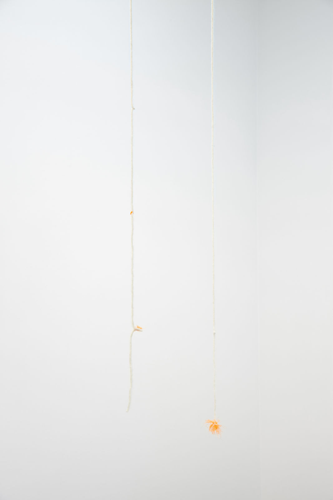 MARGRÉT H. BLÖNDAL, Untitled, 2019