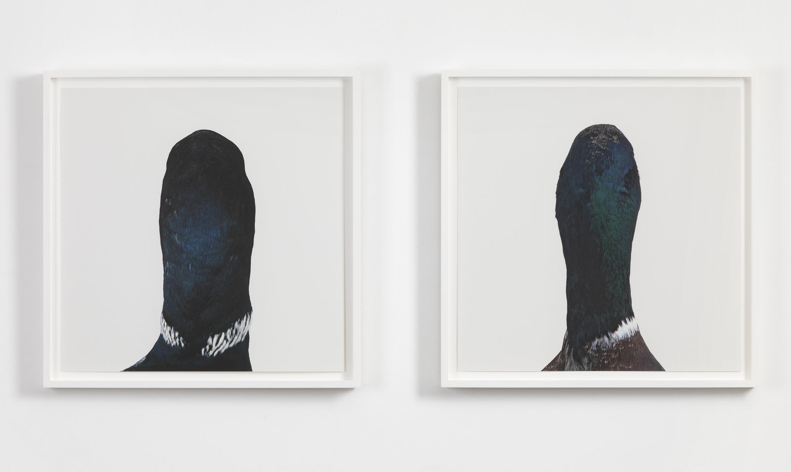 RONI HORN, Untitled, No. 14, 1998/2007