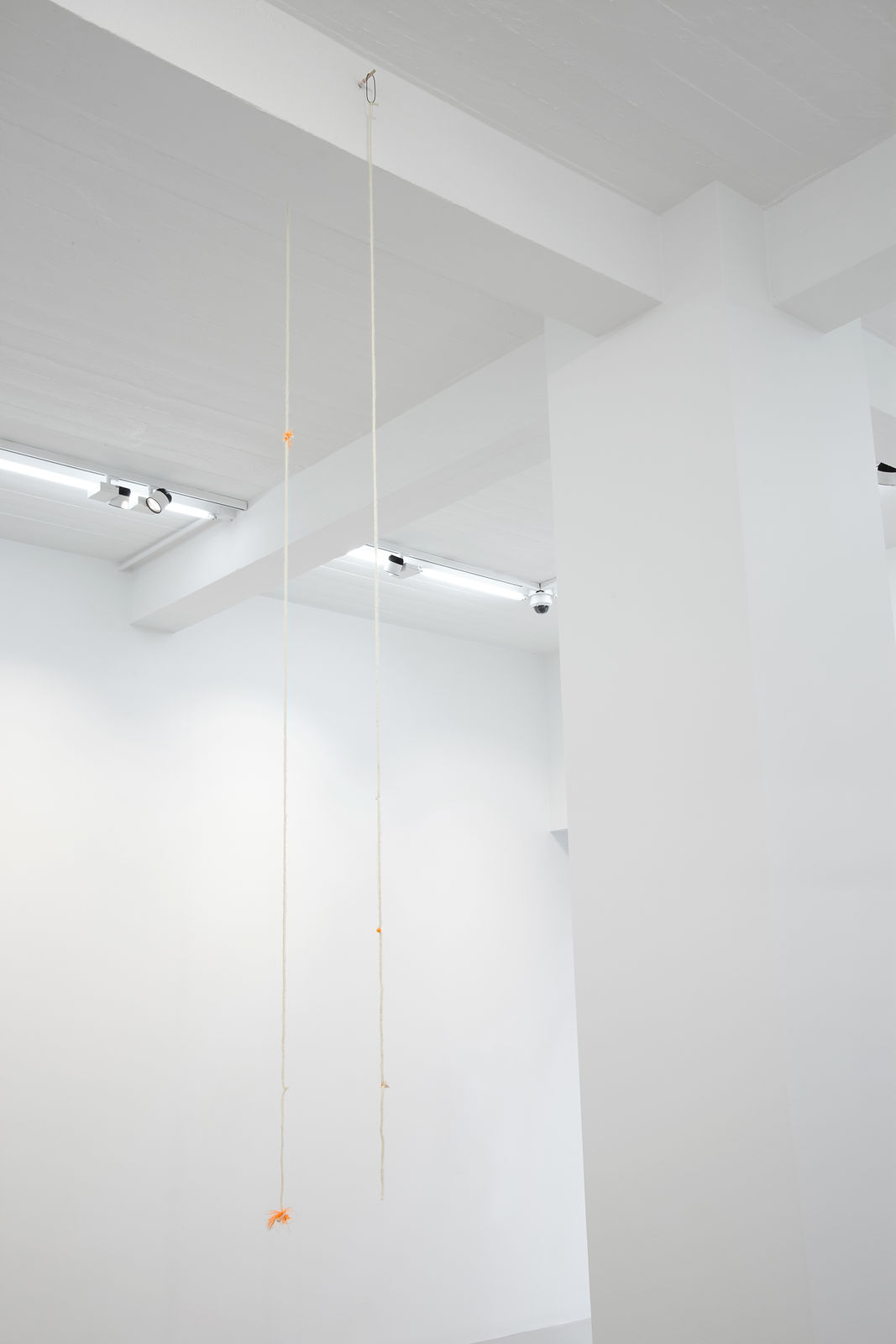 MARGRÉT H. BLÖNDAL, Untitled, 2019