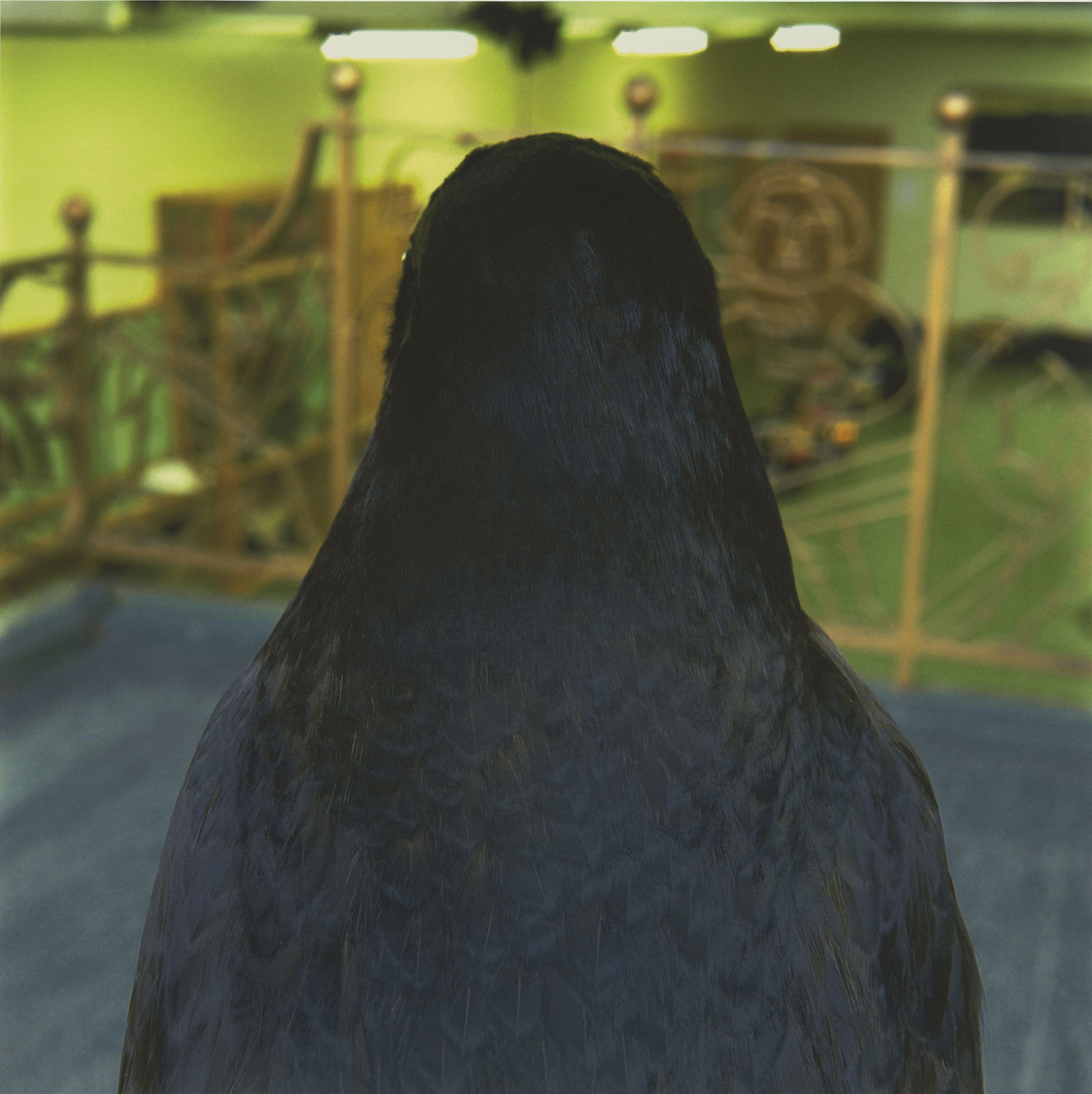 RONI HORN, Untitled No. 9, 1999