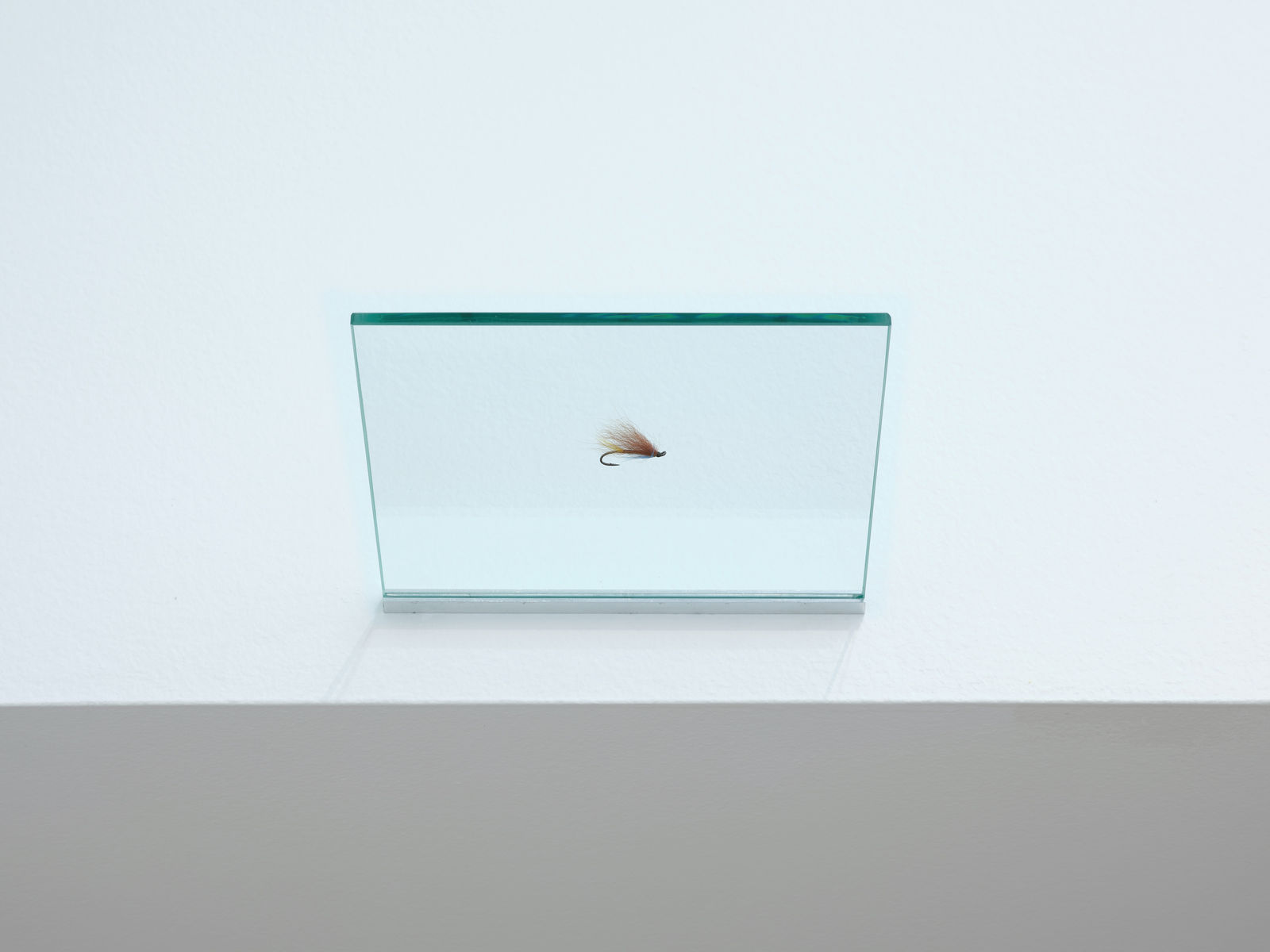 HREINN FRIÐFINNSSON, Hairy Mary, 1999-2022